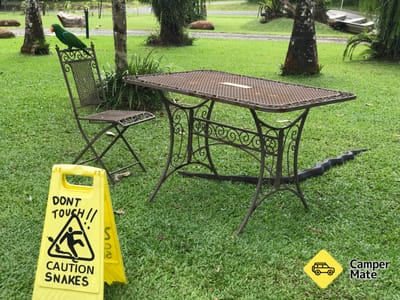 Tiện ích của Lync-Haven Rainforest Retreat