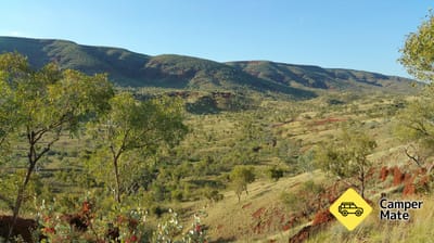 Albert Tognolini Lookout