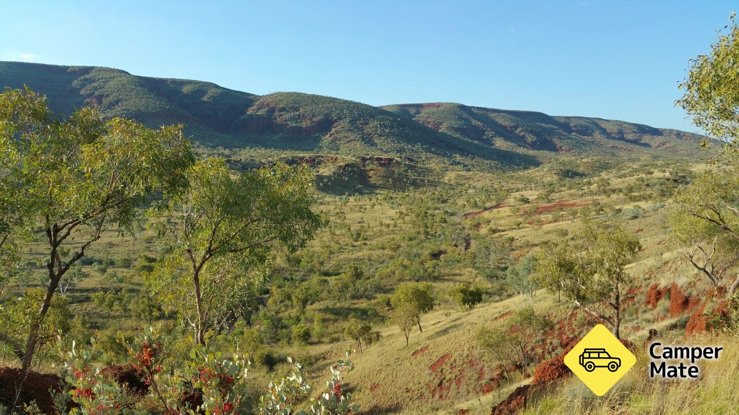 Albert Tognolini Lookout