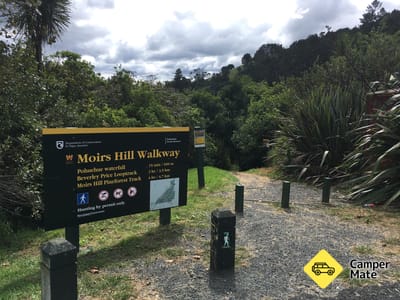 Moirs Hill Walkway