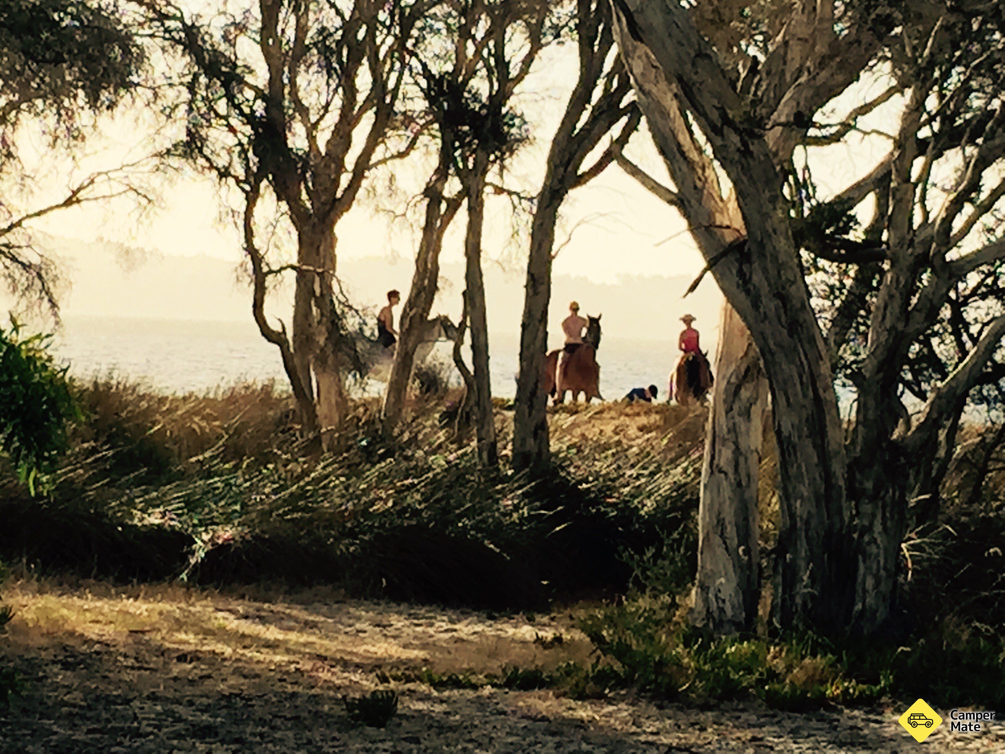 Herron Point Campground - Image 3