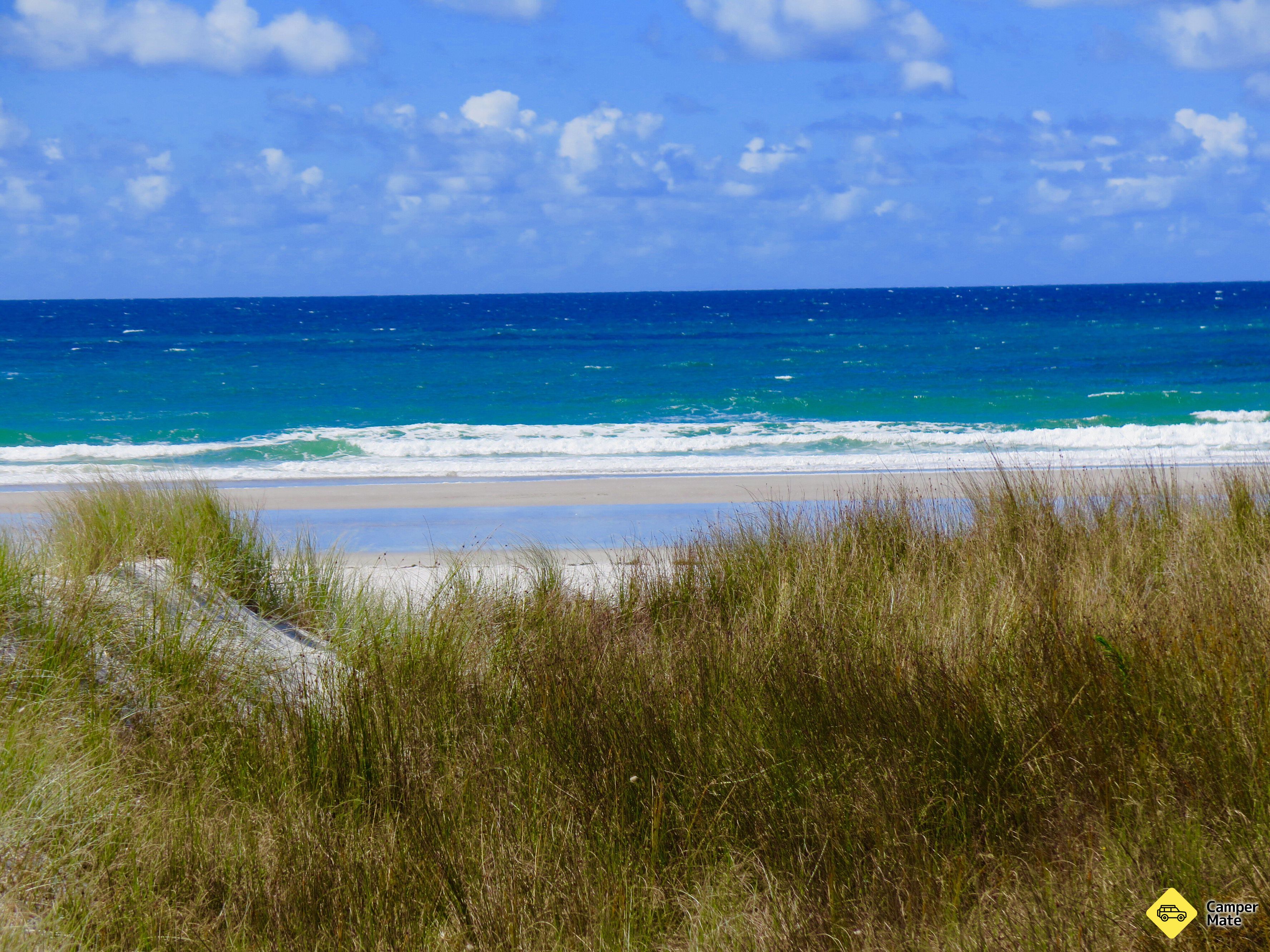 Rarawa Beach Campsite - Image 2