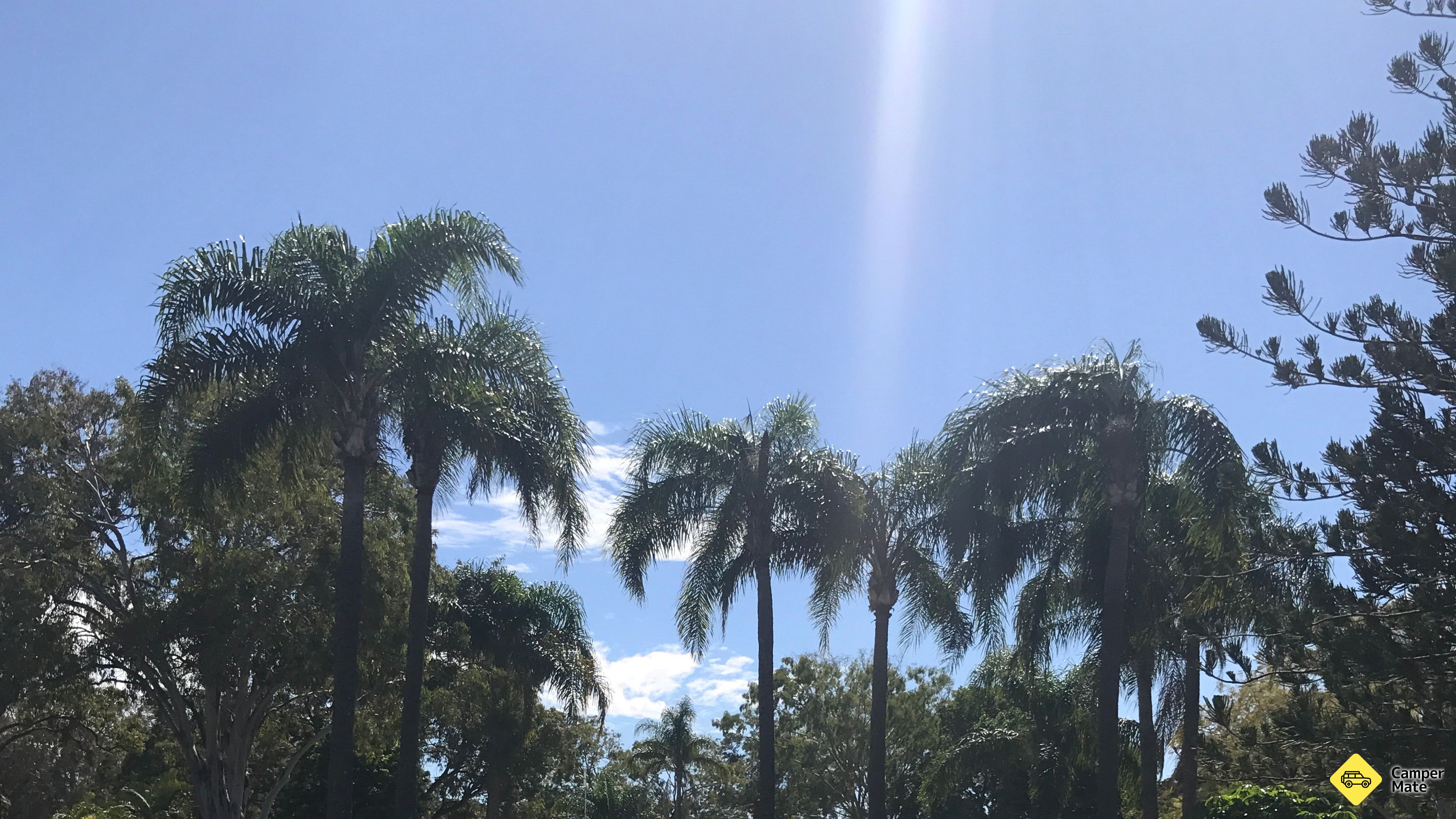 Bribie Island Caravan Park 근처 오락거리