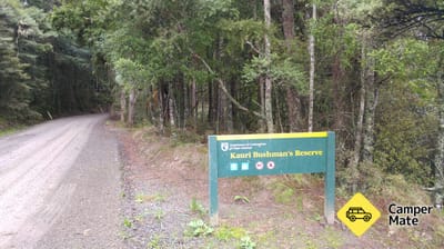 Kauri Bushman em Keep Walk