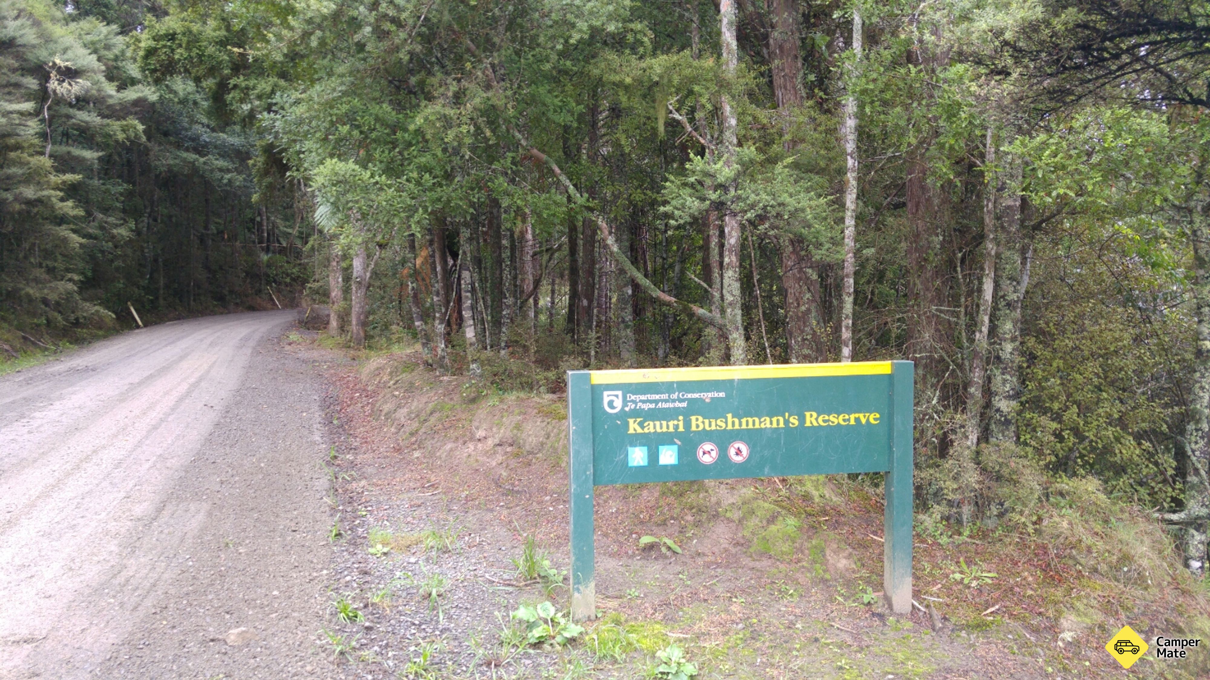 Kauri Bushman's Keep Walk 근처 오락거리