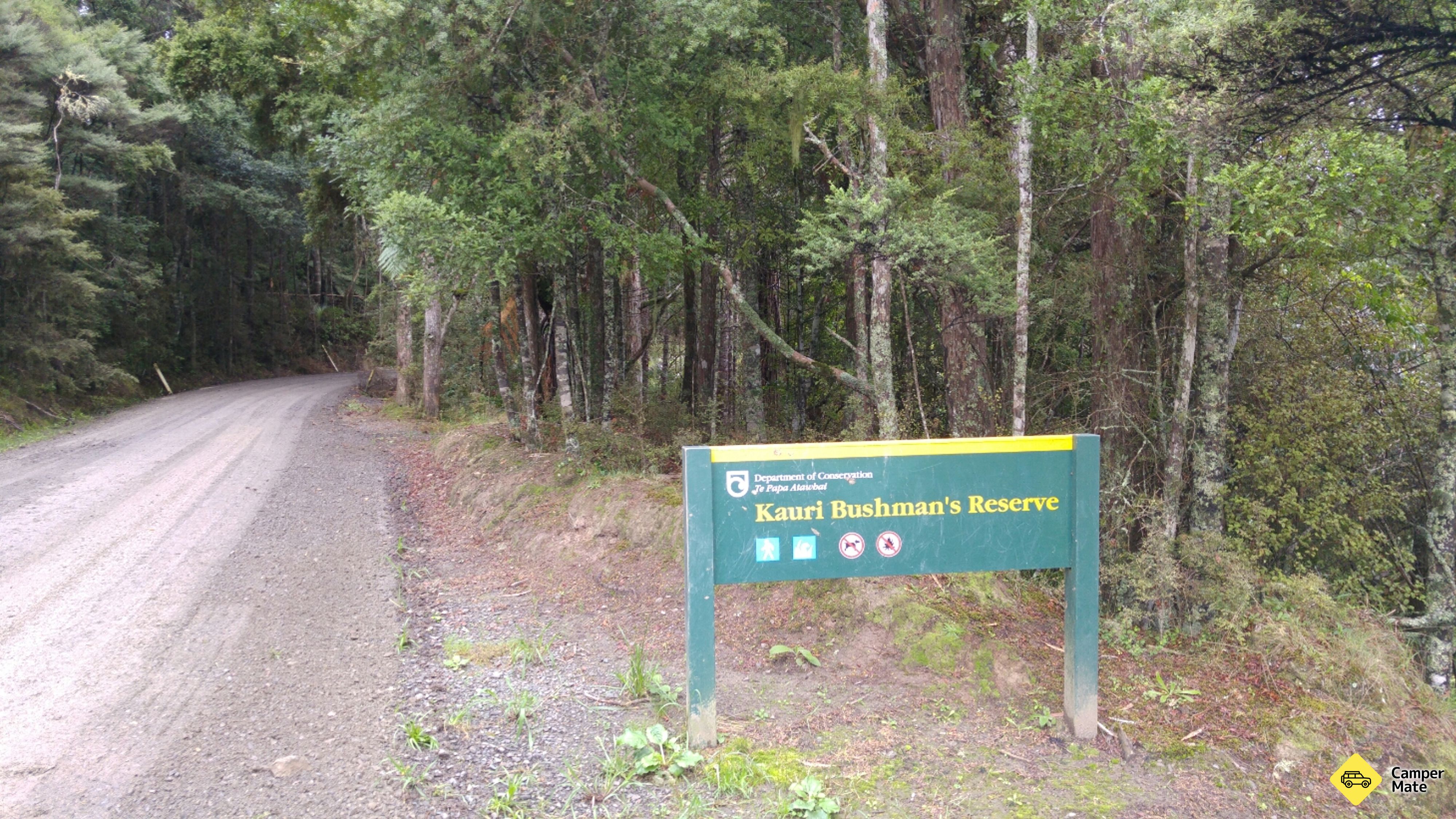 Kauri Bushman em Keep Walk