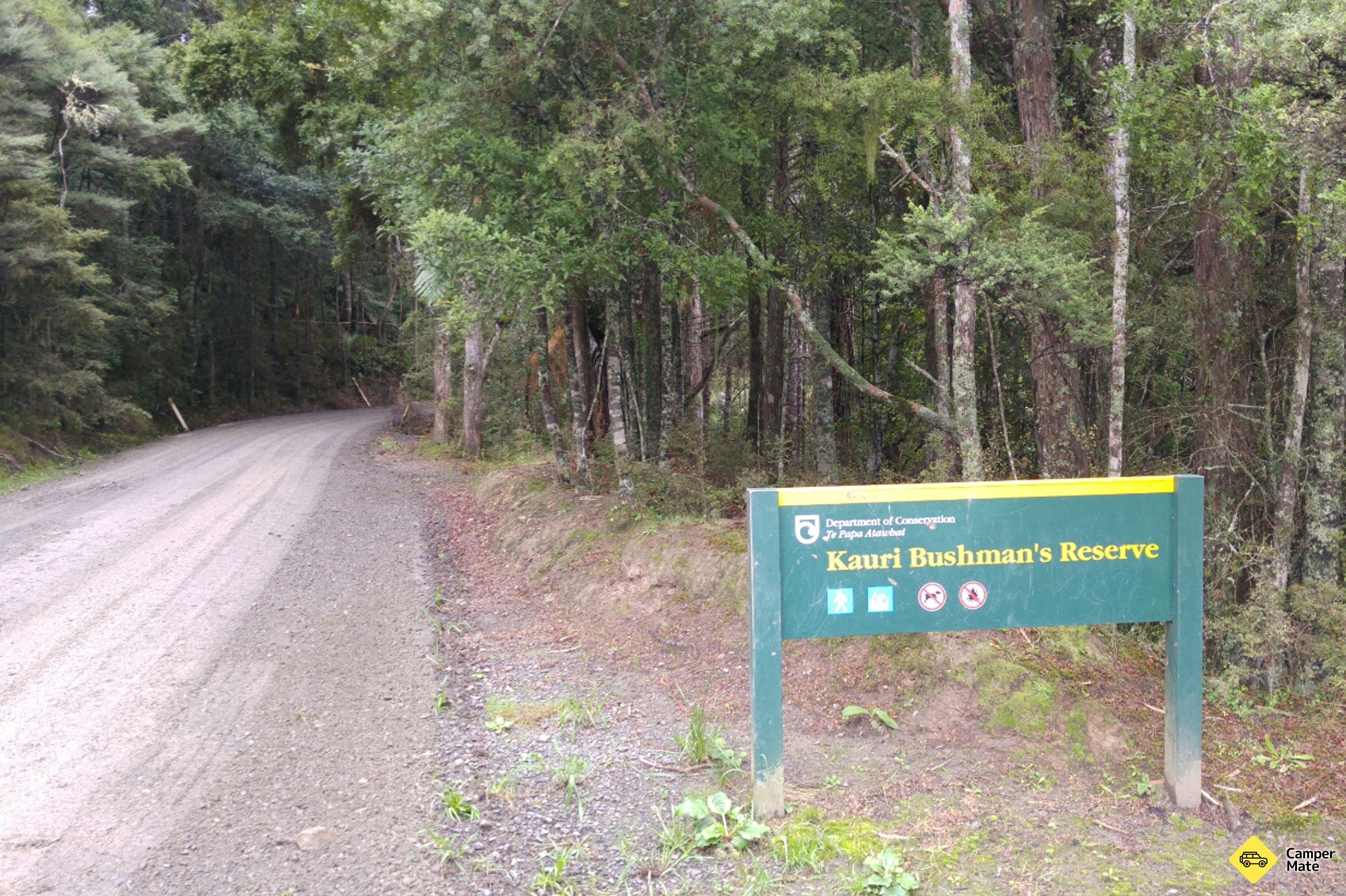 Kauri Bushman em Keep Walk