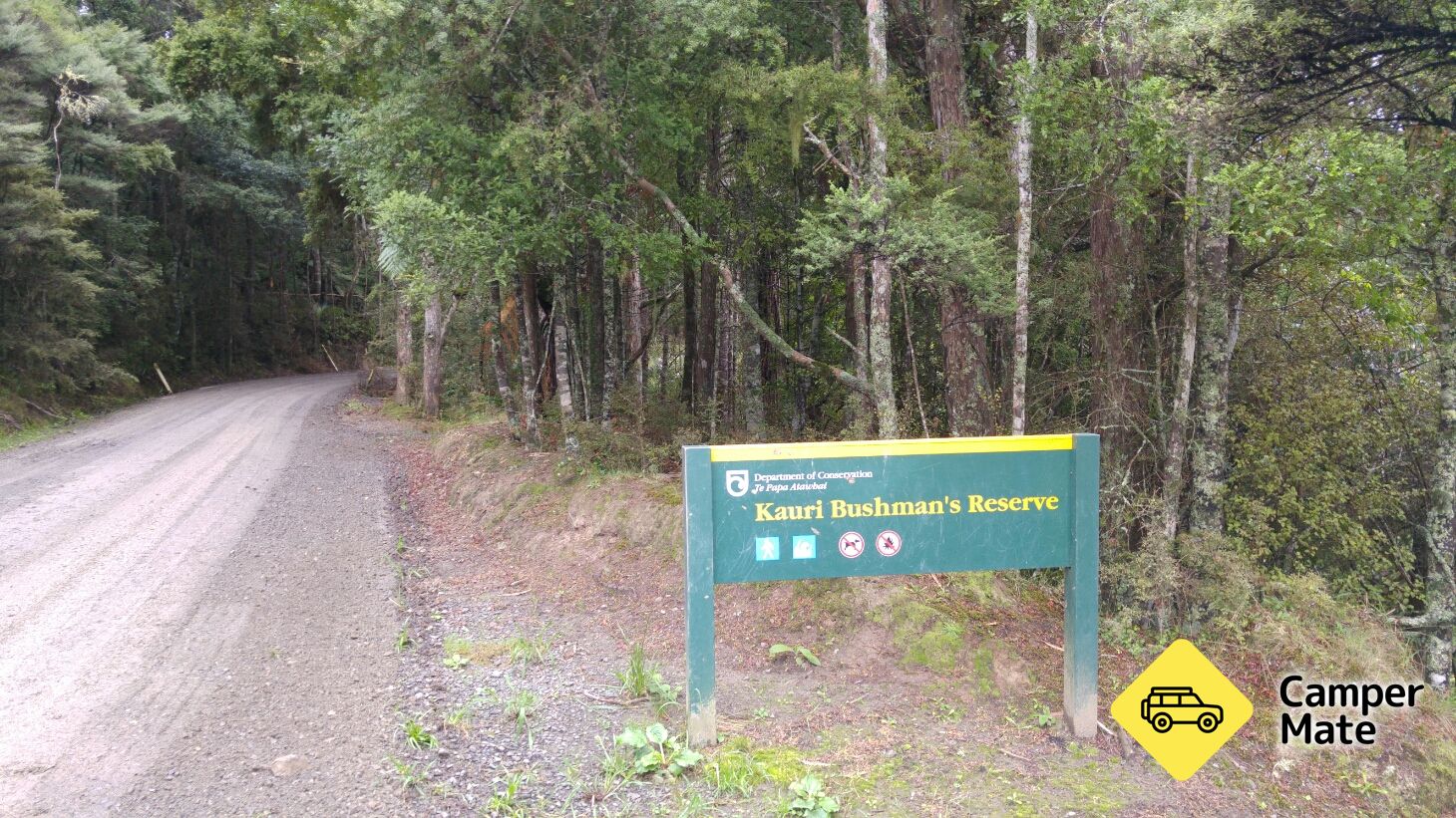 Kauri Bushman em Keep Walk