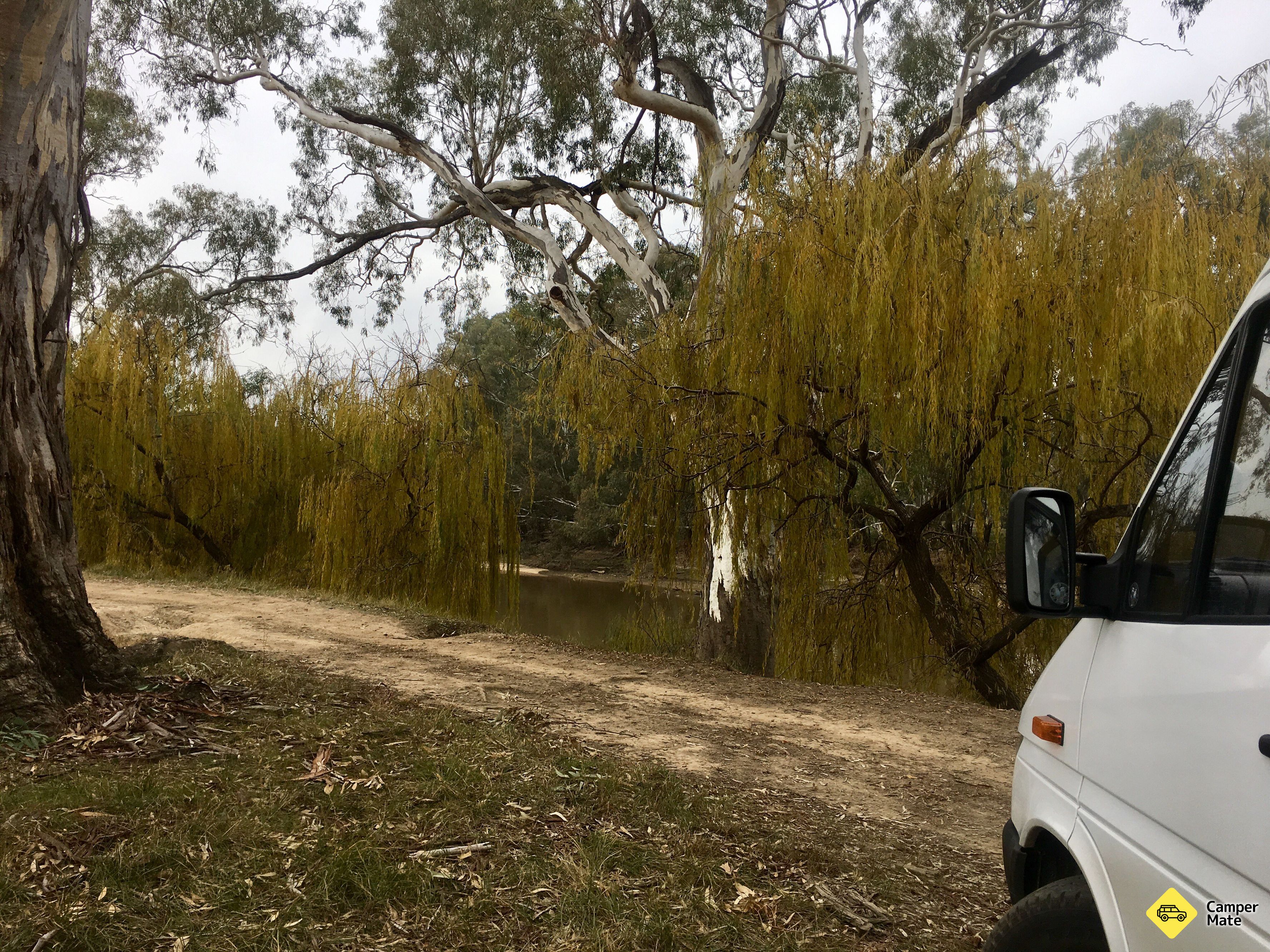 Currawarna State Forest