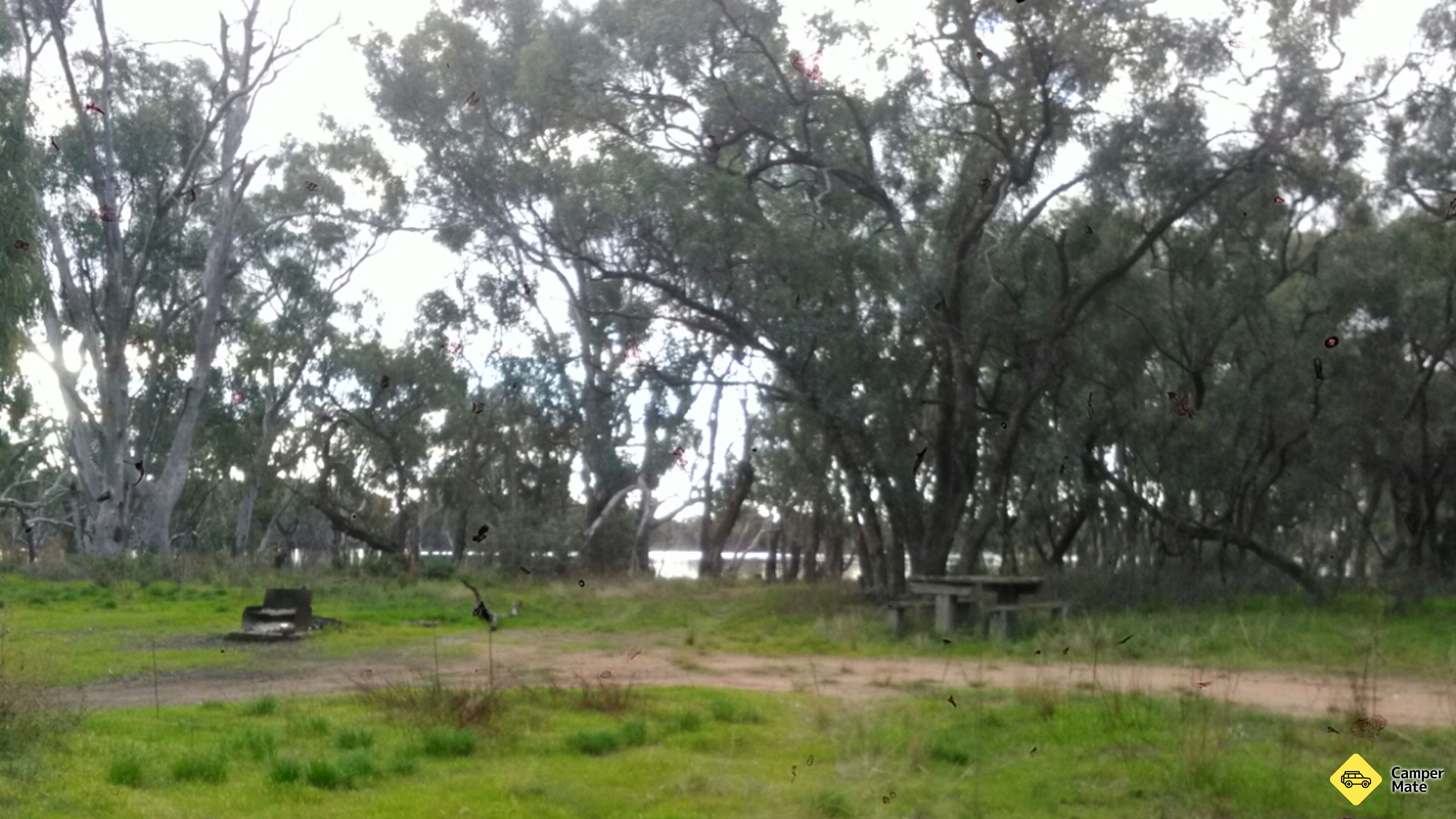 Leaghur Spot