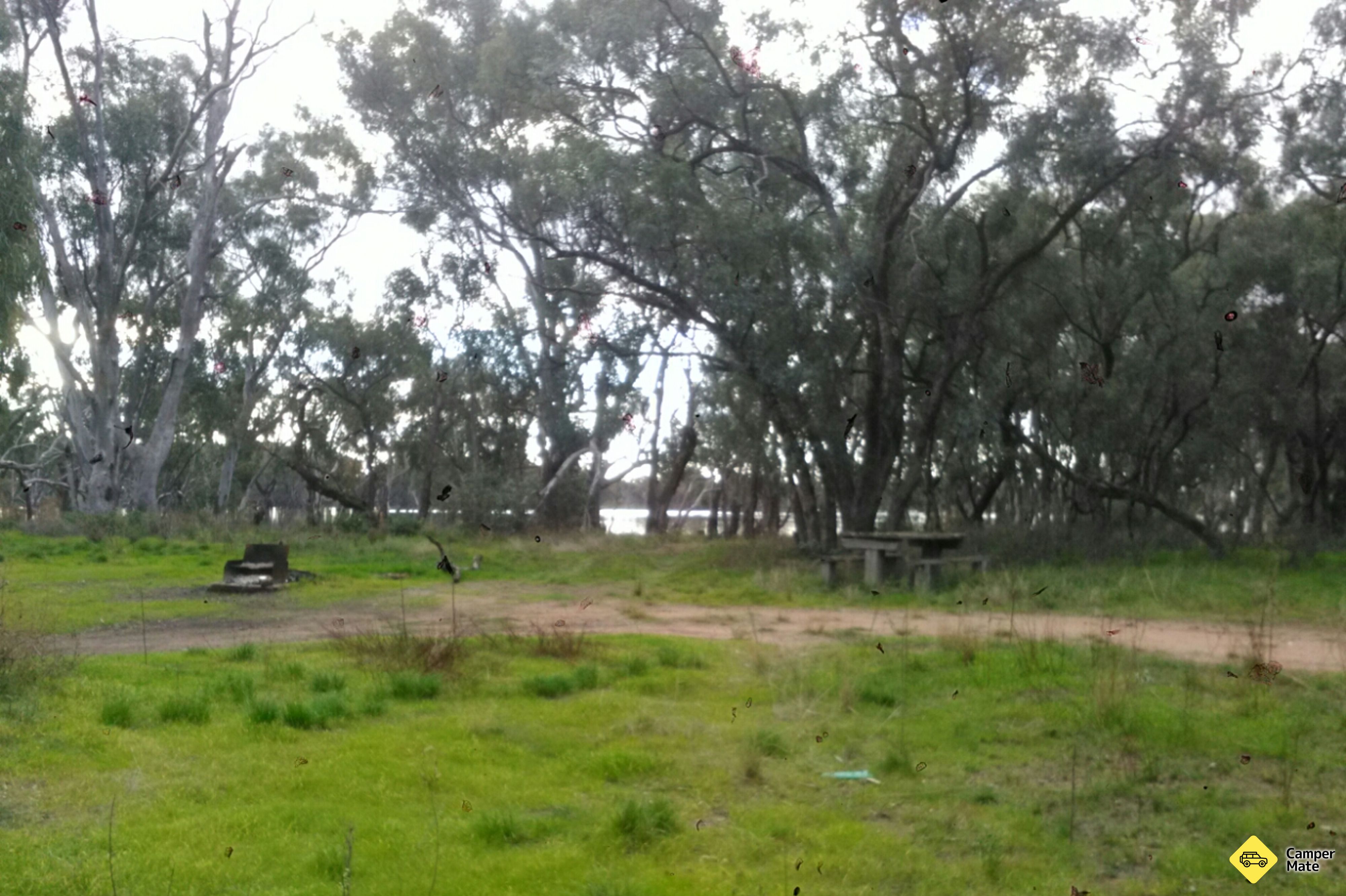 Leaghur Spot