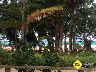 Σχετικά με το Mission Beach Camping & Caravan Park