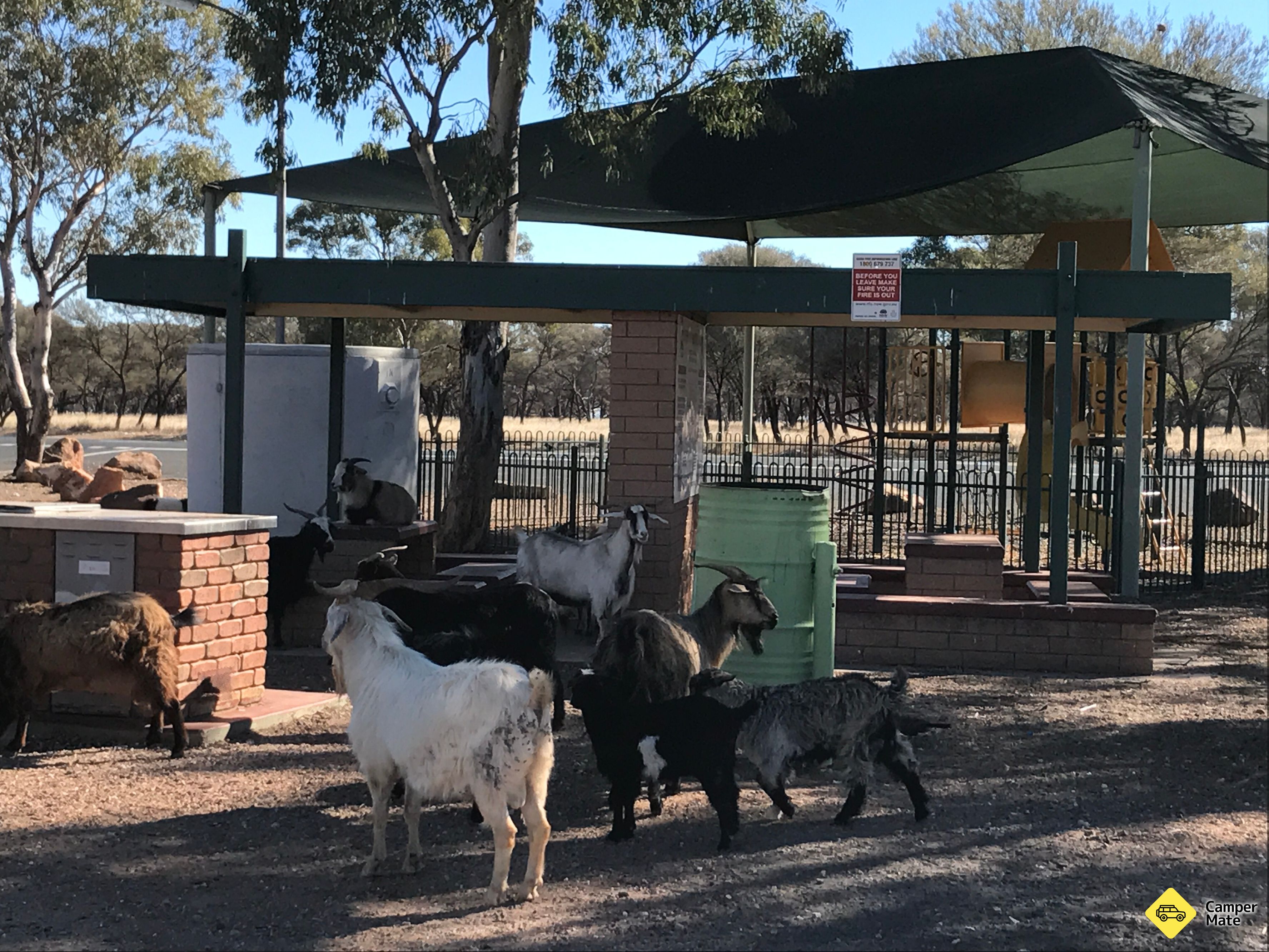 MacCullochs Range Rest Area