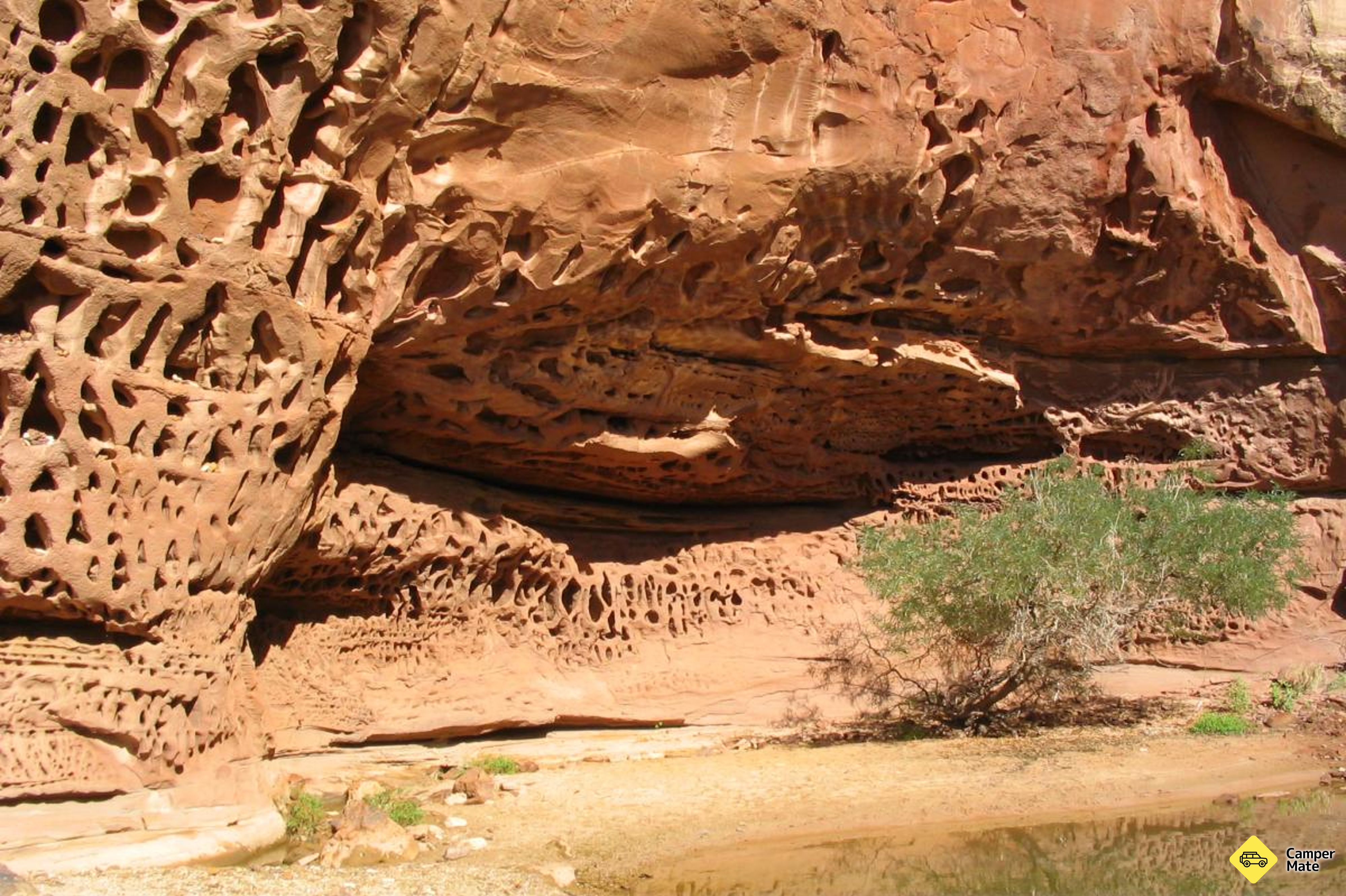 Honeycomb Gorge Trail के बारे में राय - Image 3