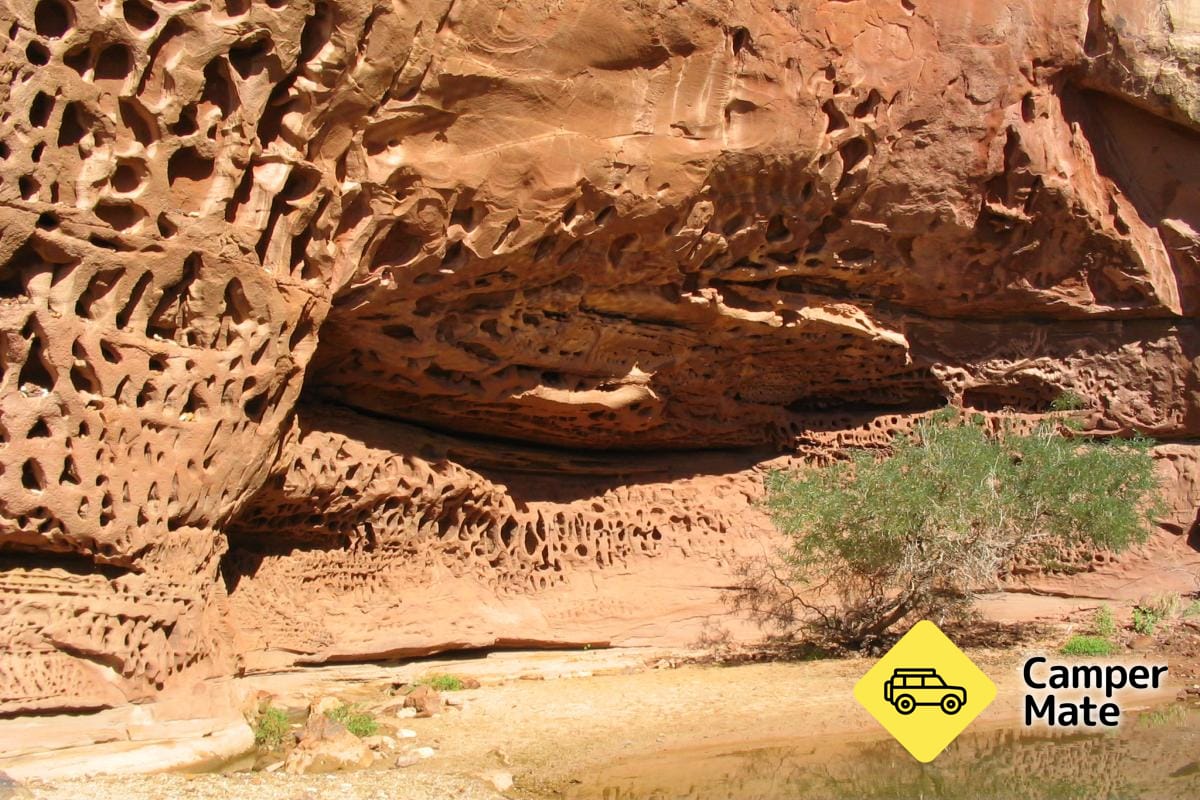 Honeycomb Gorge Trail - Image 3