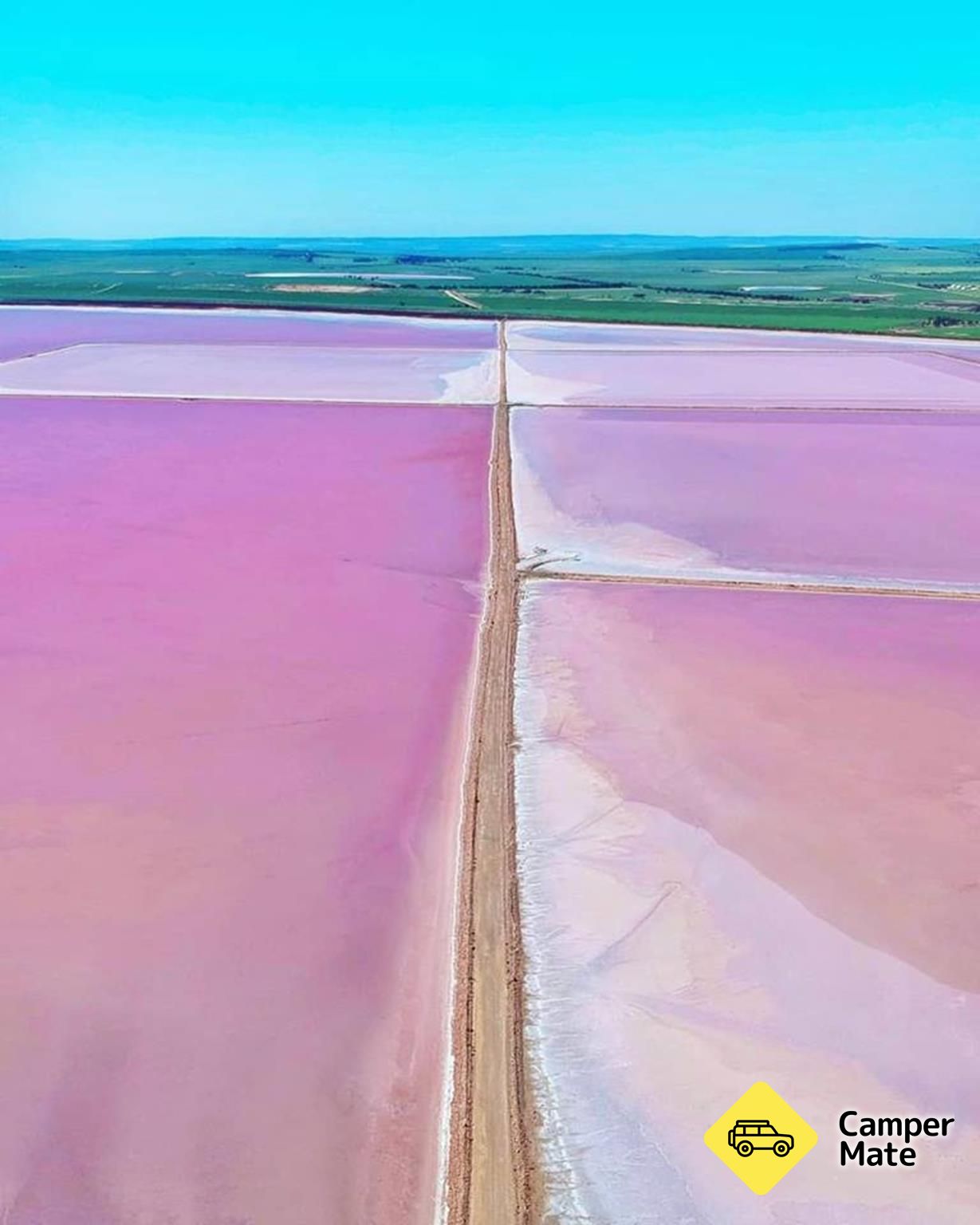 Danau Pink