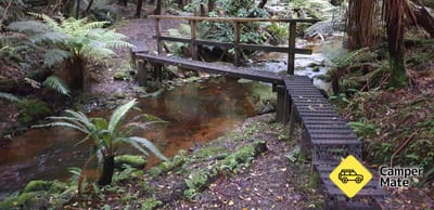 De Fern Gully Track