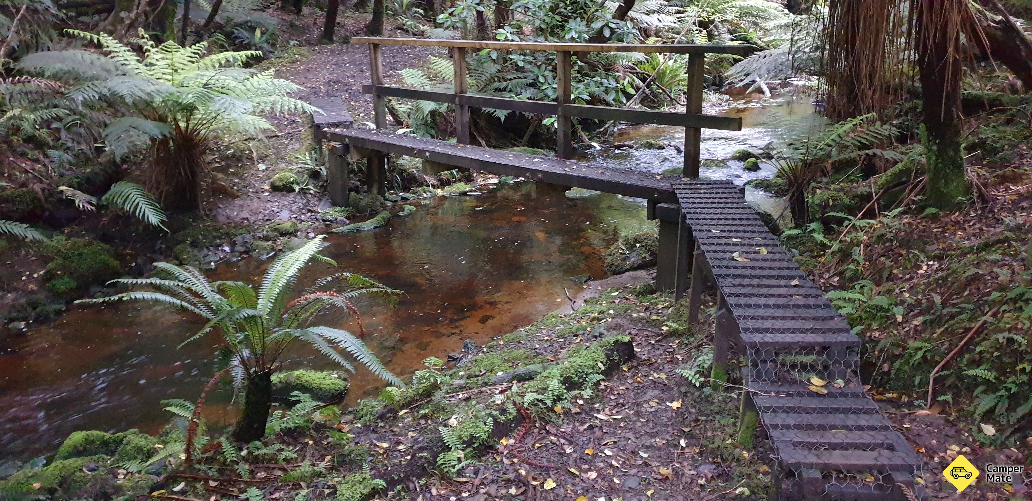 De Fern Gully Track