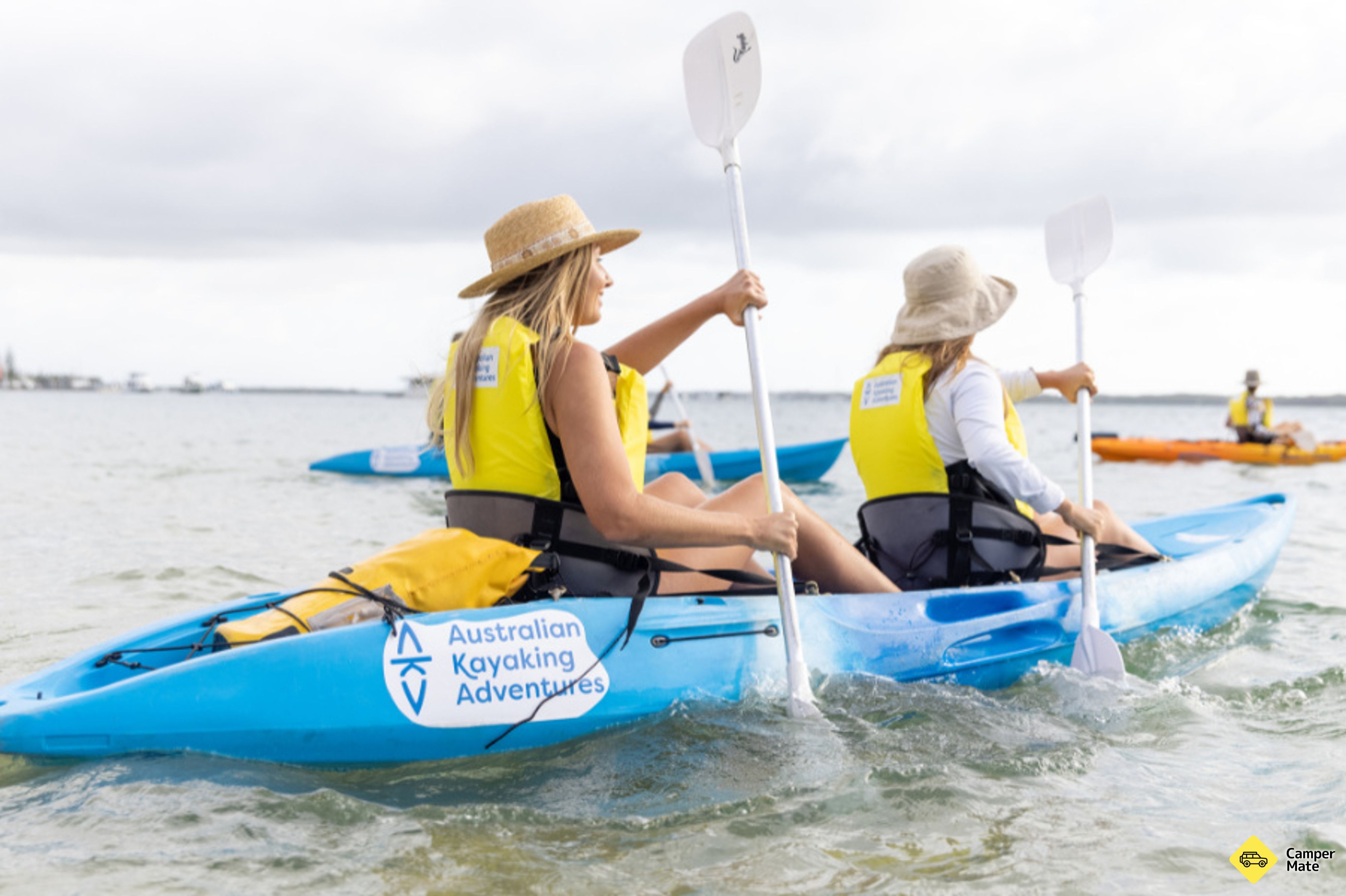 Gold Coast Dolphin Kayaking și Snorkeling Tour - Image 3