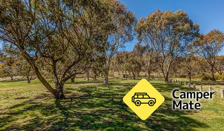 Ghost Gully Campground - Image 3