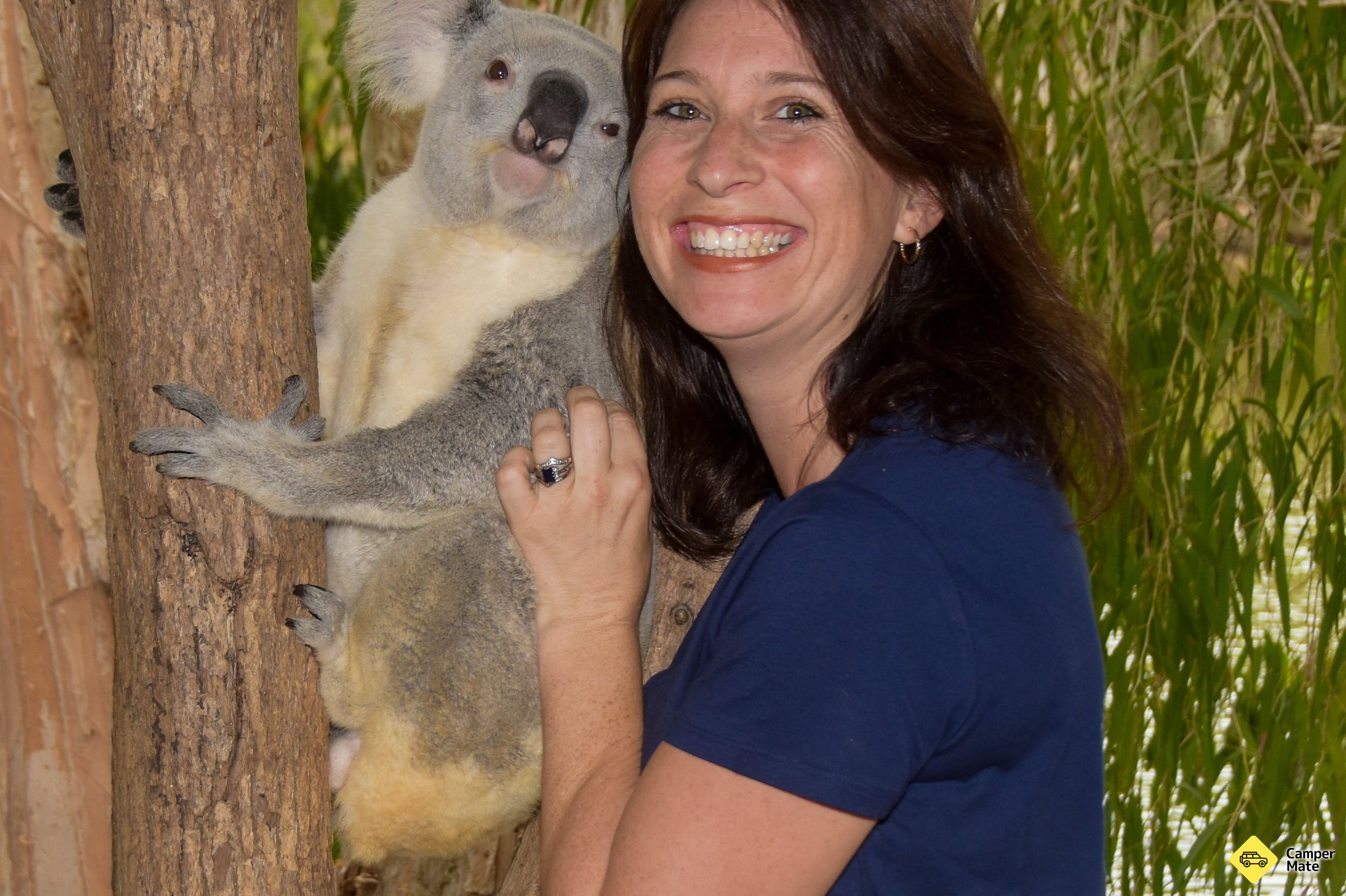 Billabong Sanctuary - Image 3