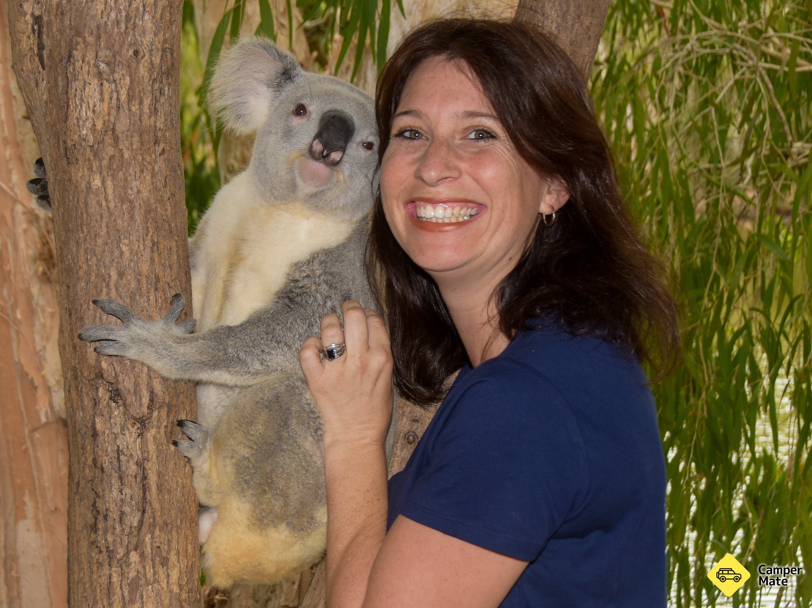Billabong Sanctuary - Image 3