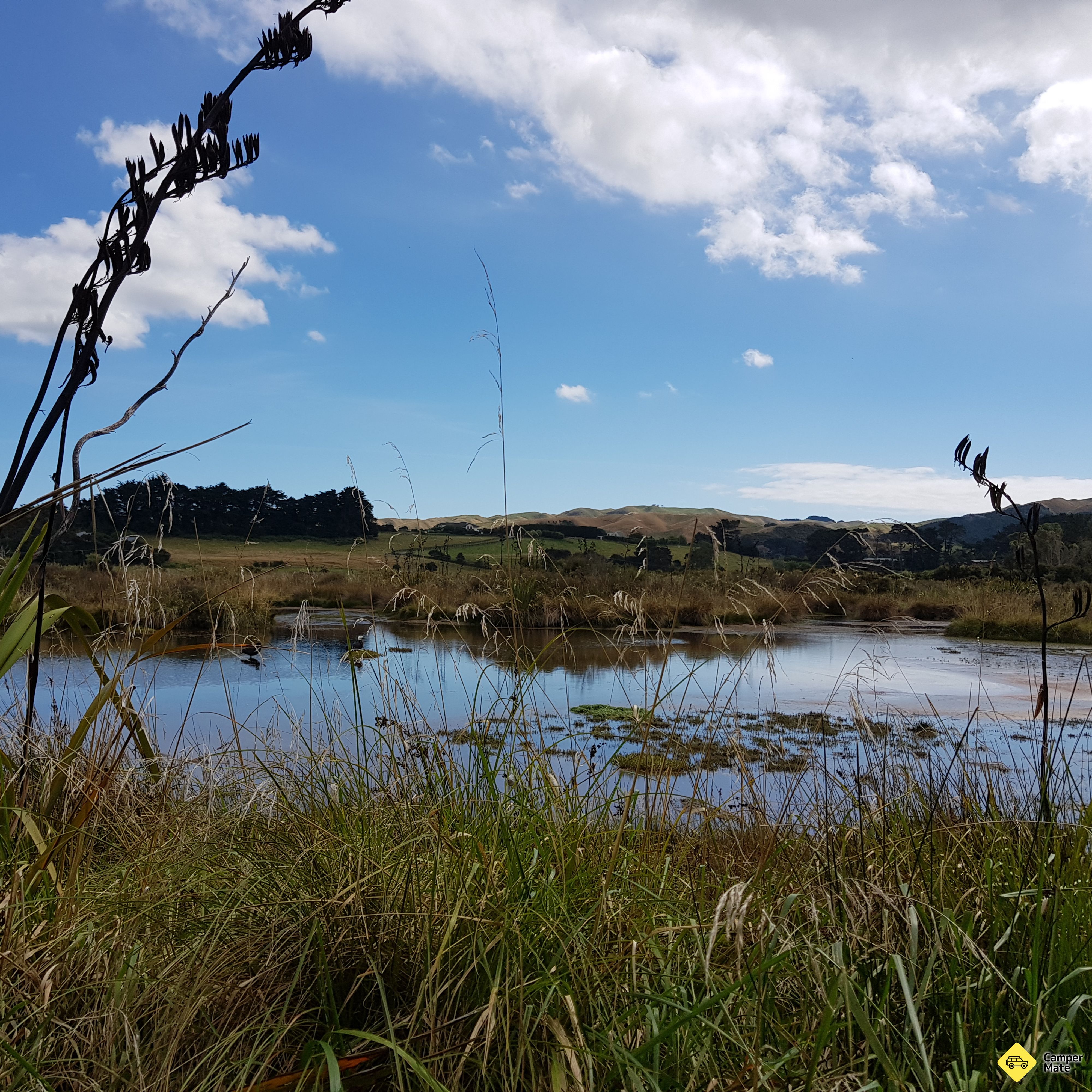 Pauatahanui Wildlife Reserve Walkway - Image 2