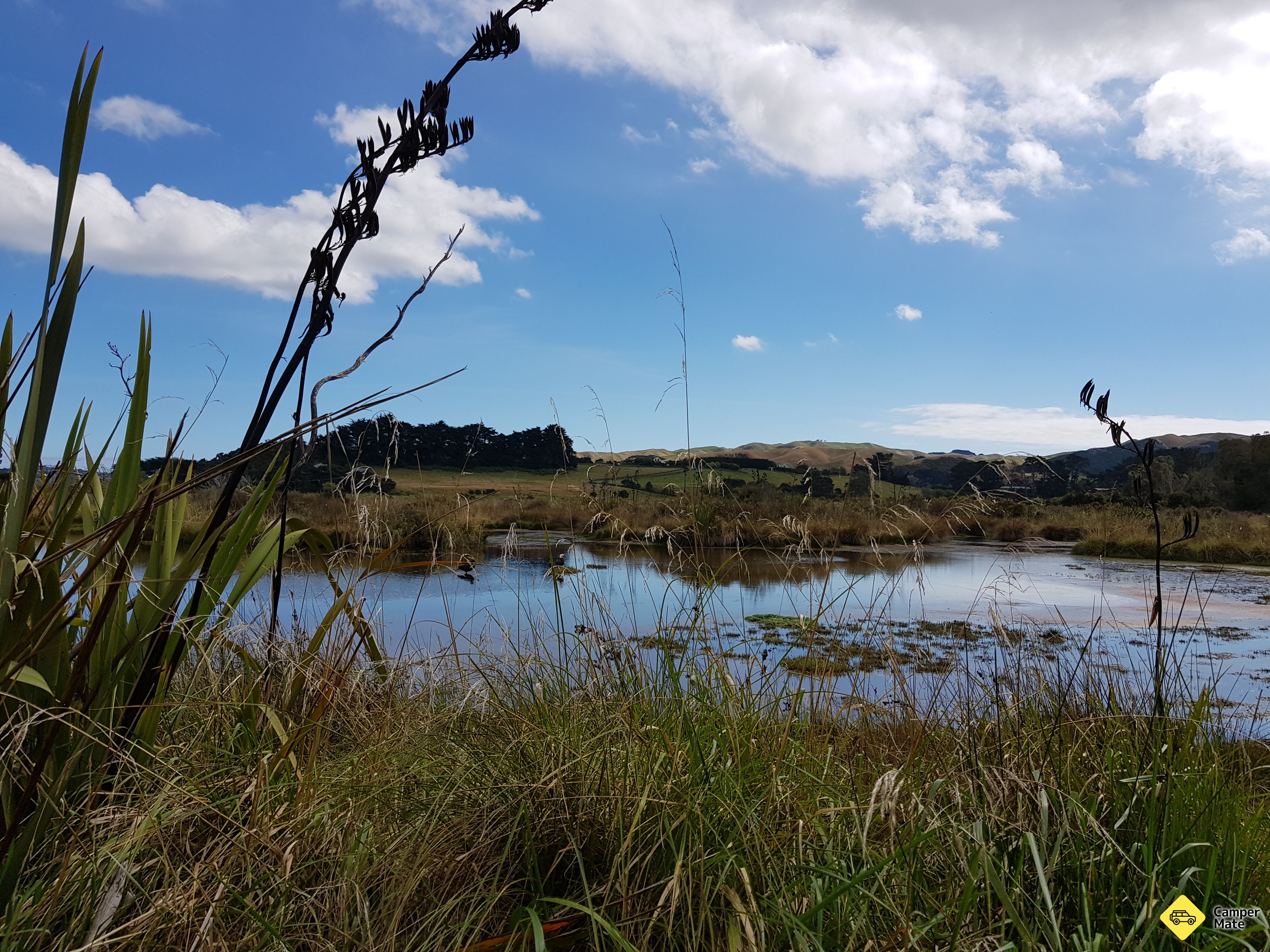 Pauatahanui Wildlife Reserve Walkway - Image 2