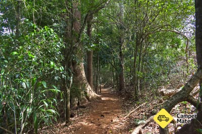 Witches Falls Walking Track