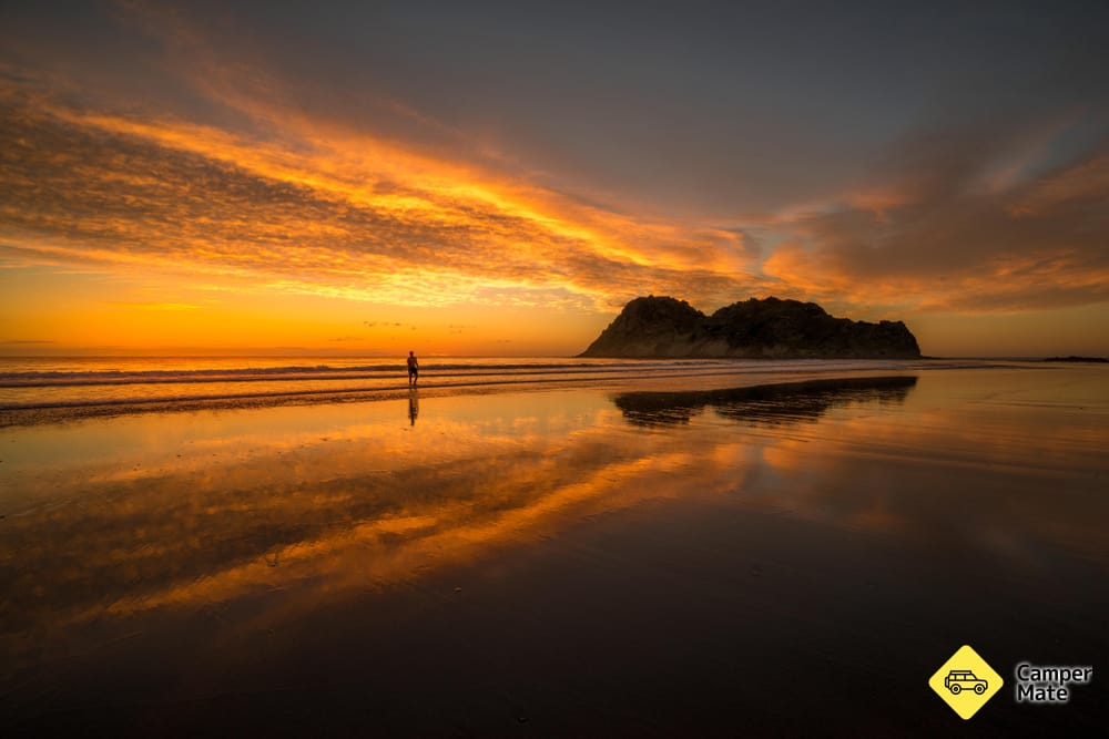 Whangara Beach