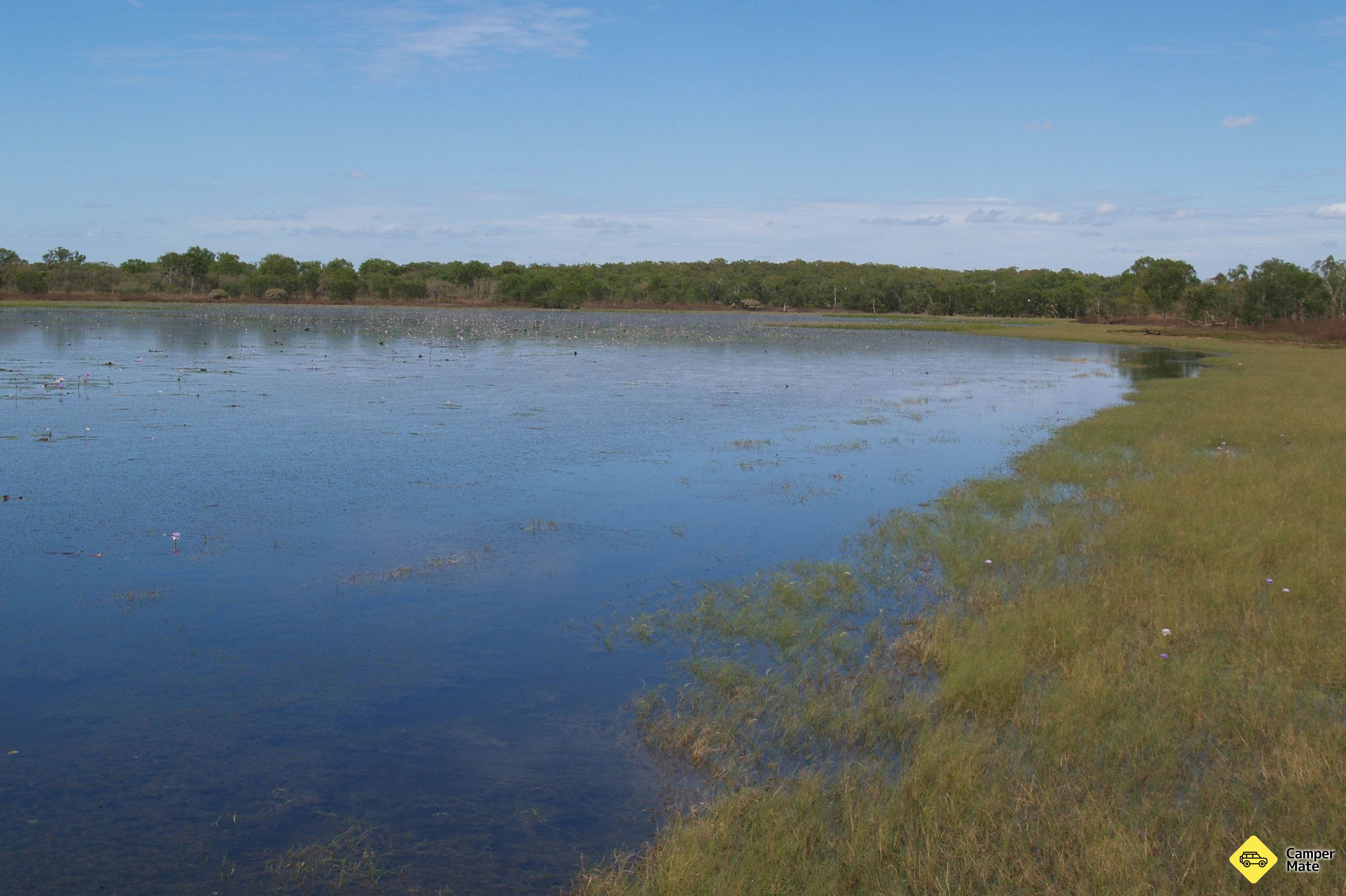 Mary River Bird Billabong - Image 2