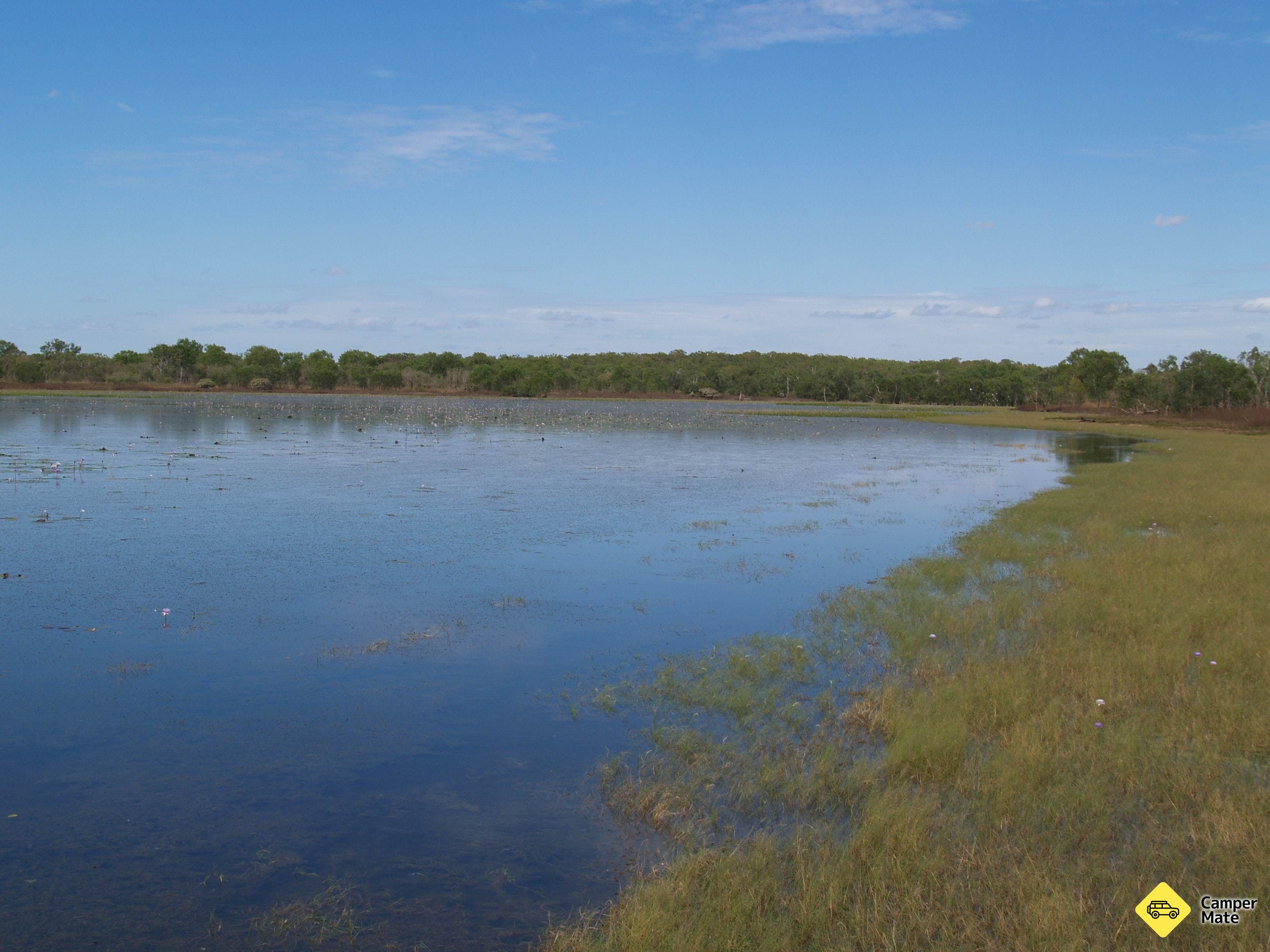 Mary River Bird Billabong - Image 2