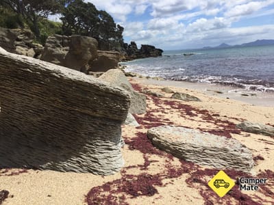 Waipu Coastal Walkway
