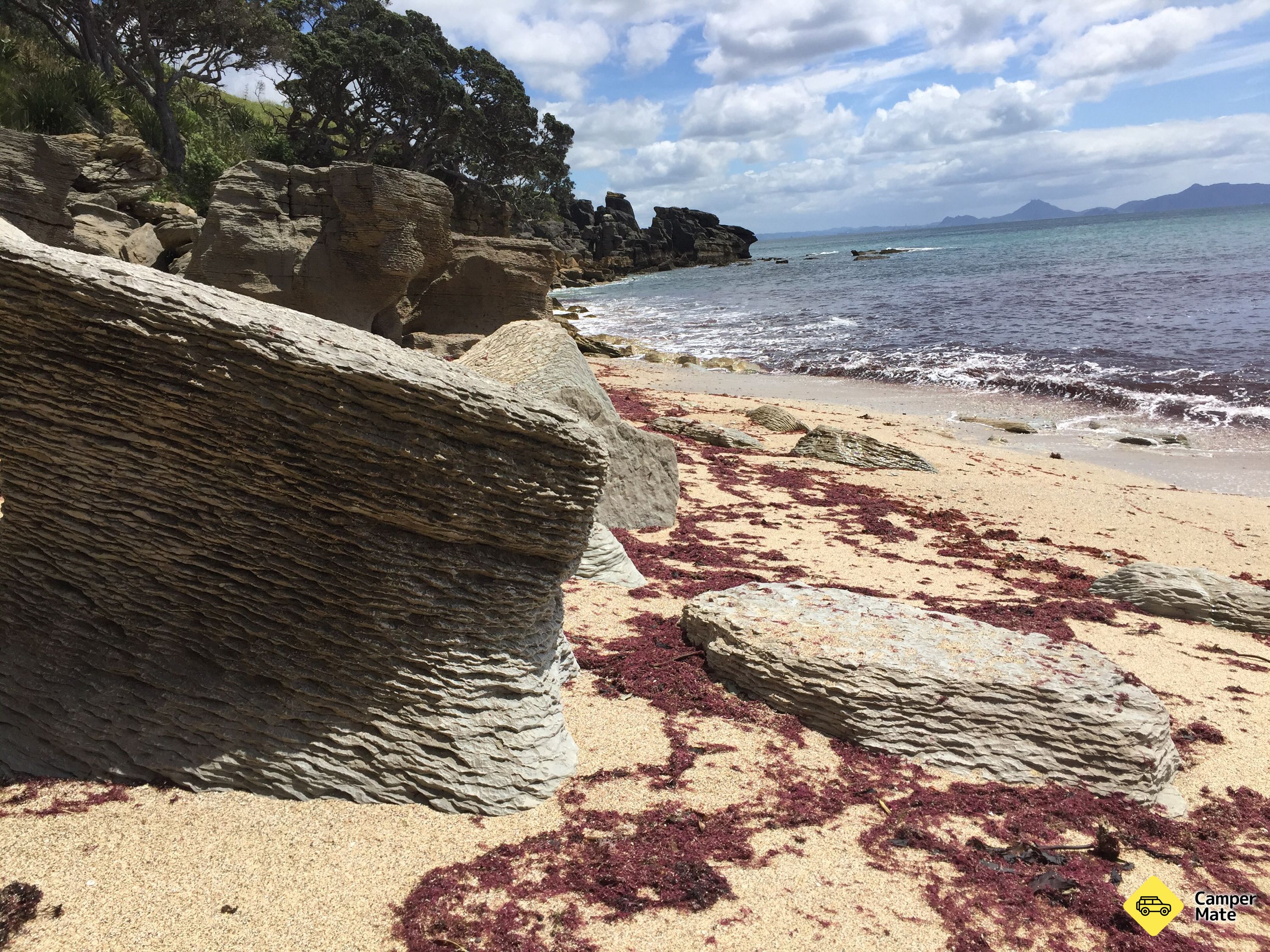 Waipu Coastal Walkway