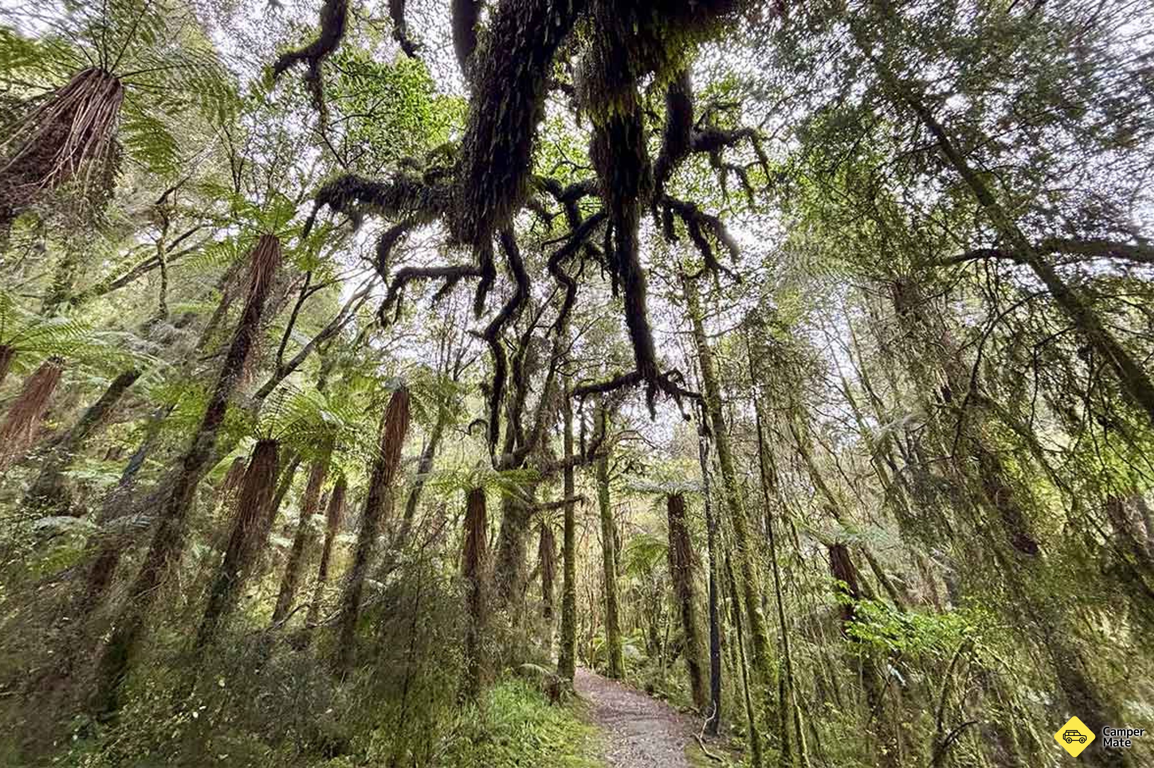 Rakaitane Track