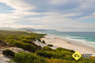 Friendly Beaches Scenic Lookout 근처 오락거리