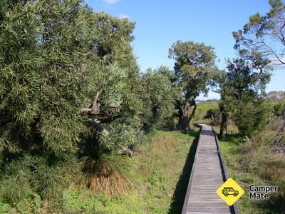 Tutte le informazioni su Kepwari Trails Wetland Wonderland