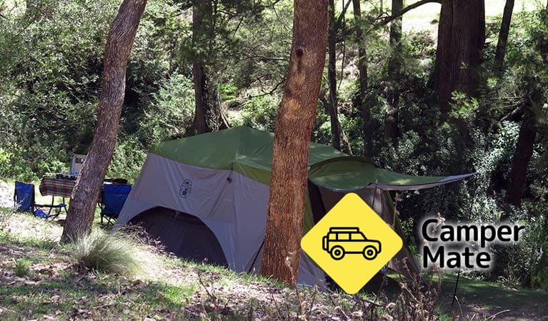 Abercrombie Caves Campground - Image 2