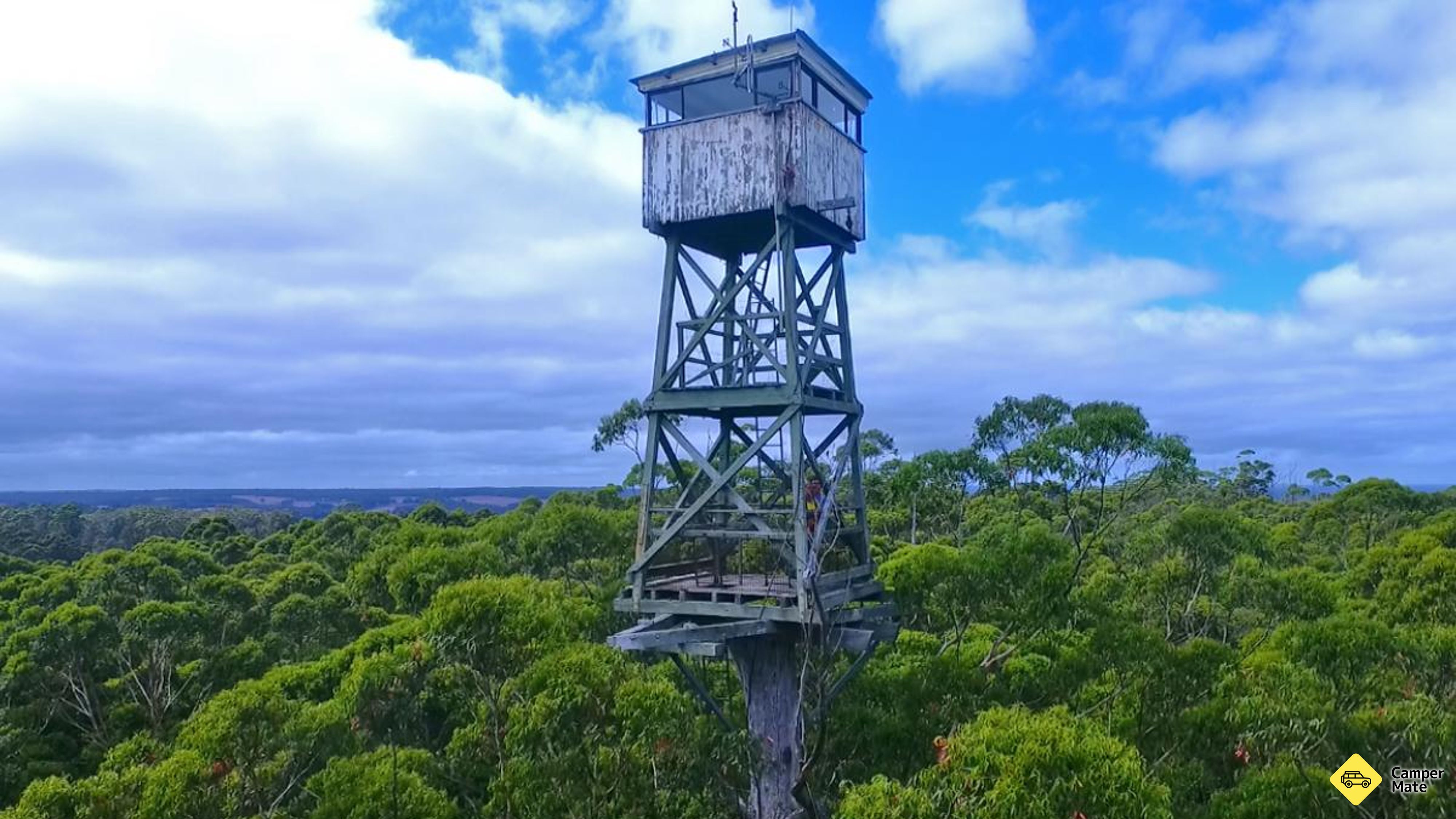Diamond Tree Lookout Manjimup