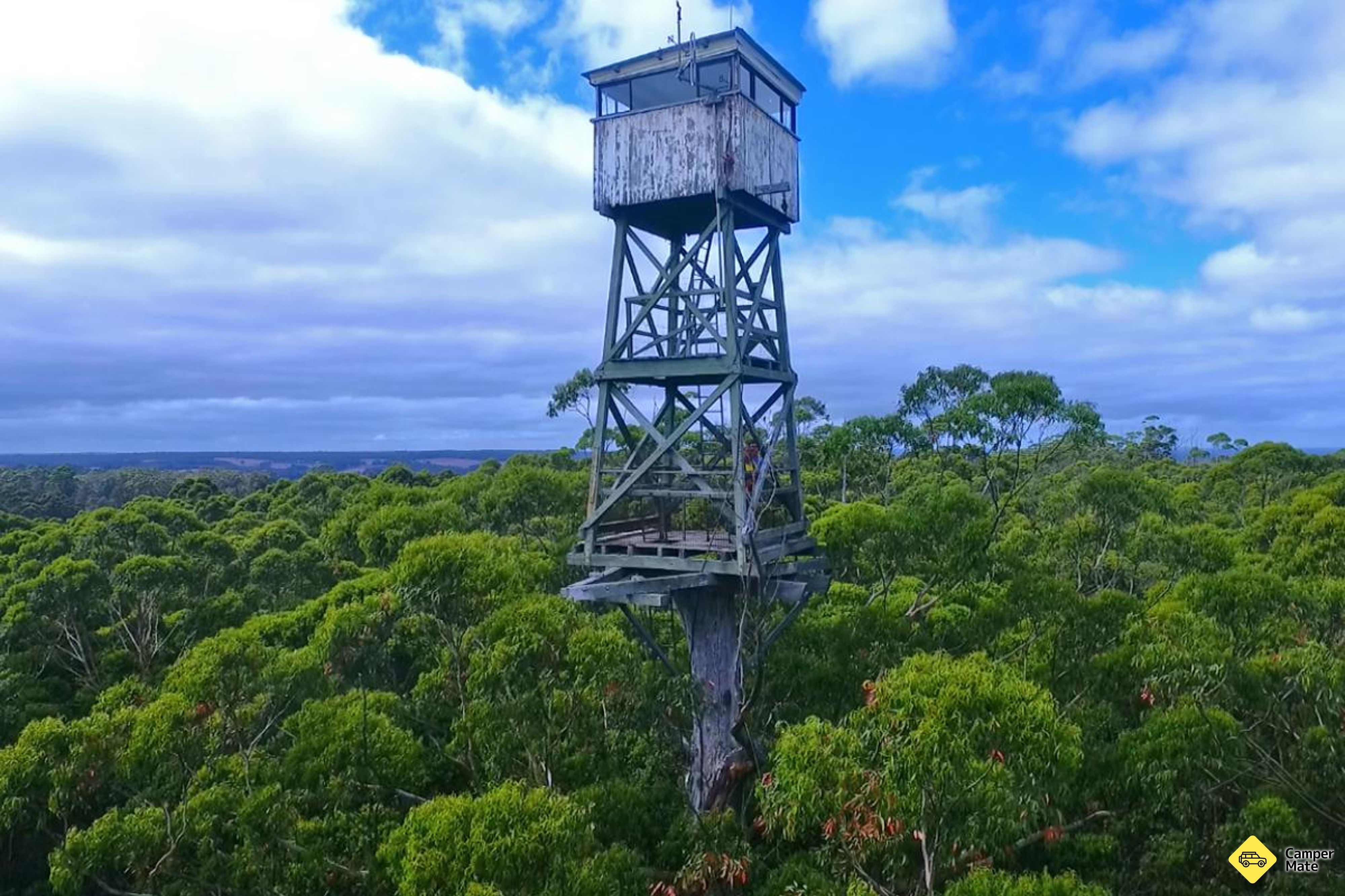Diamond Tree Lookout Manjimup