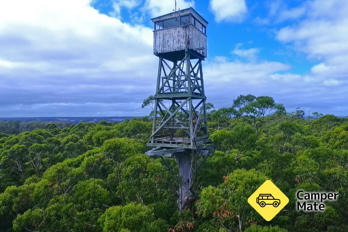 Diamond Tree Lookout Manjimup