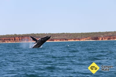 Pender Bay Escape
