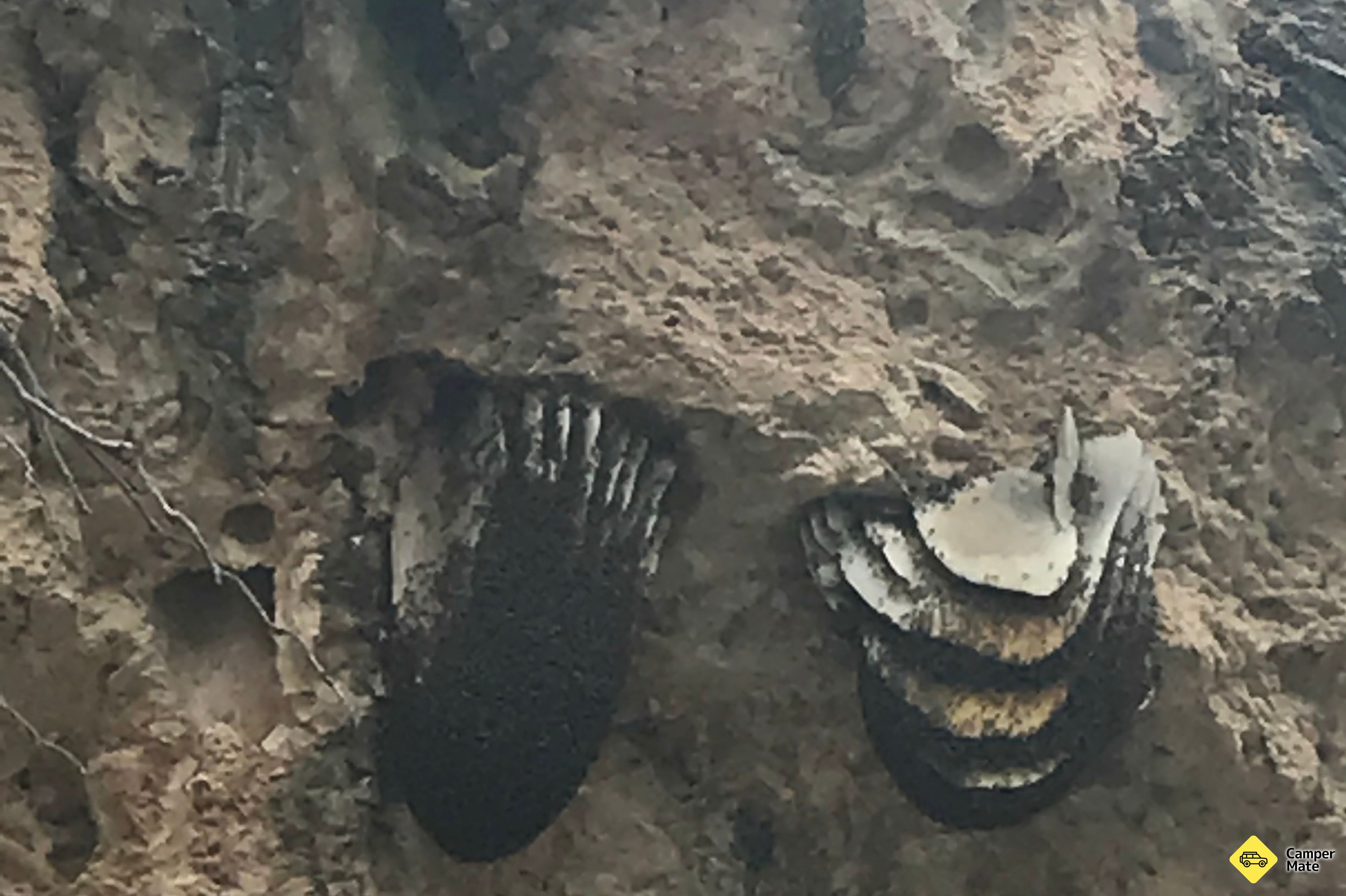 Stockyard Gully Caves - Image 2