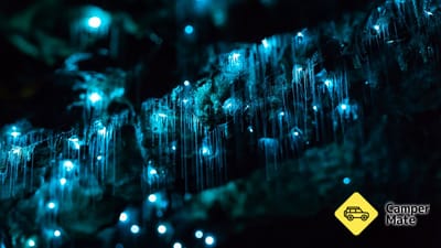 Glowworm et les chutes d'eau