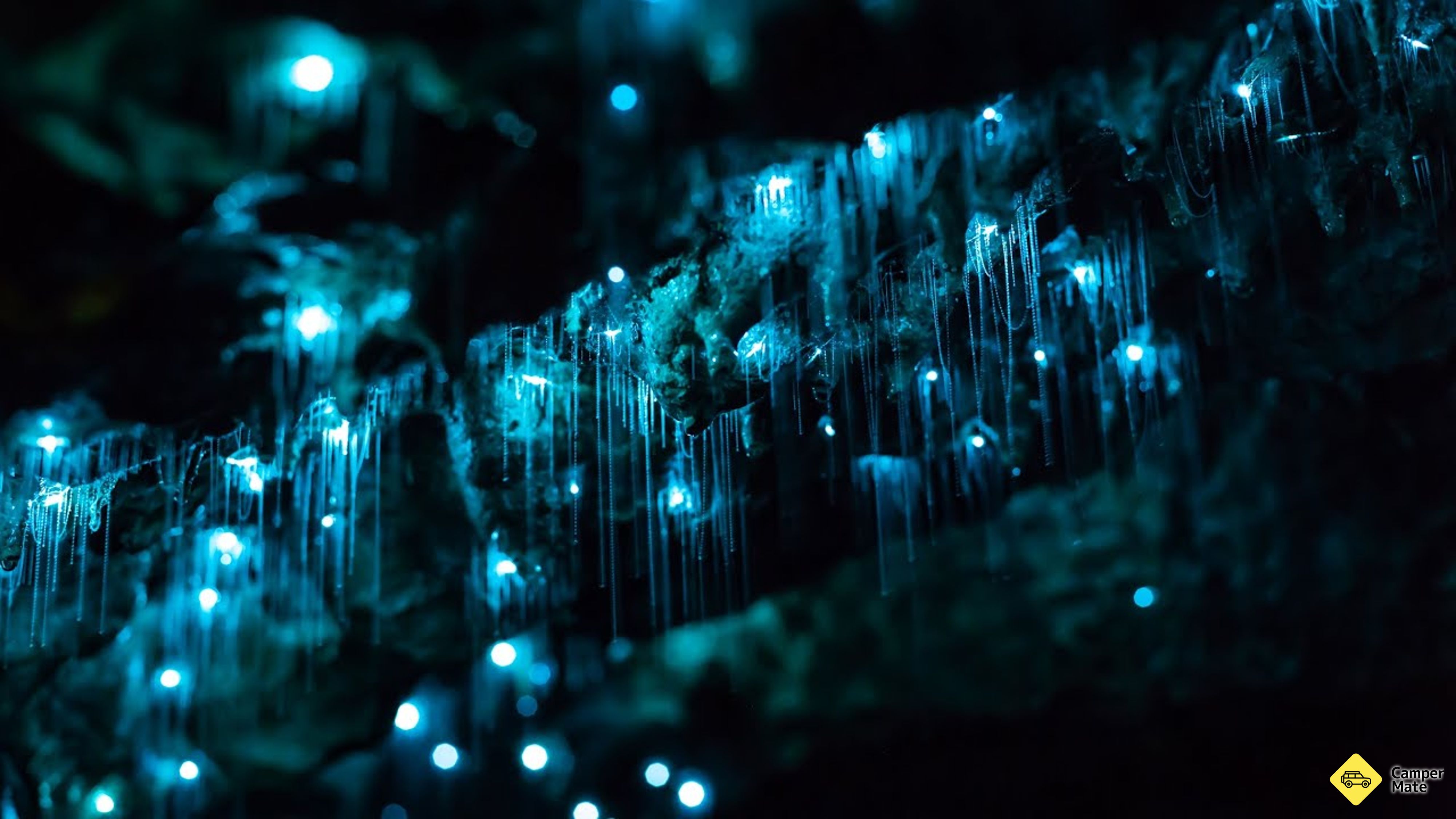 Glowworm and Waterfalls Tour