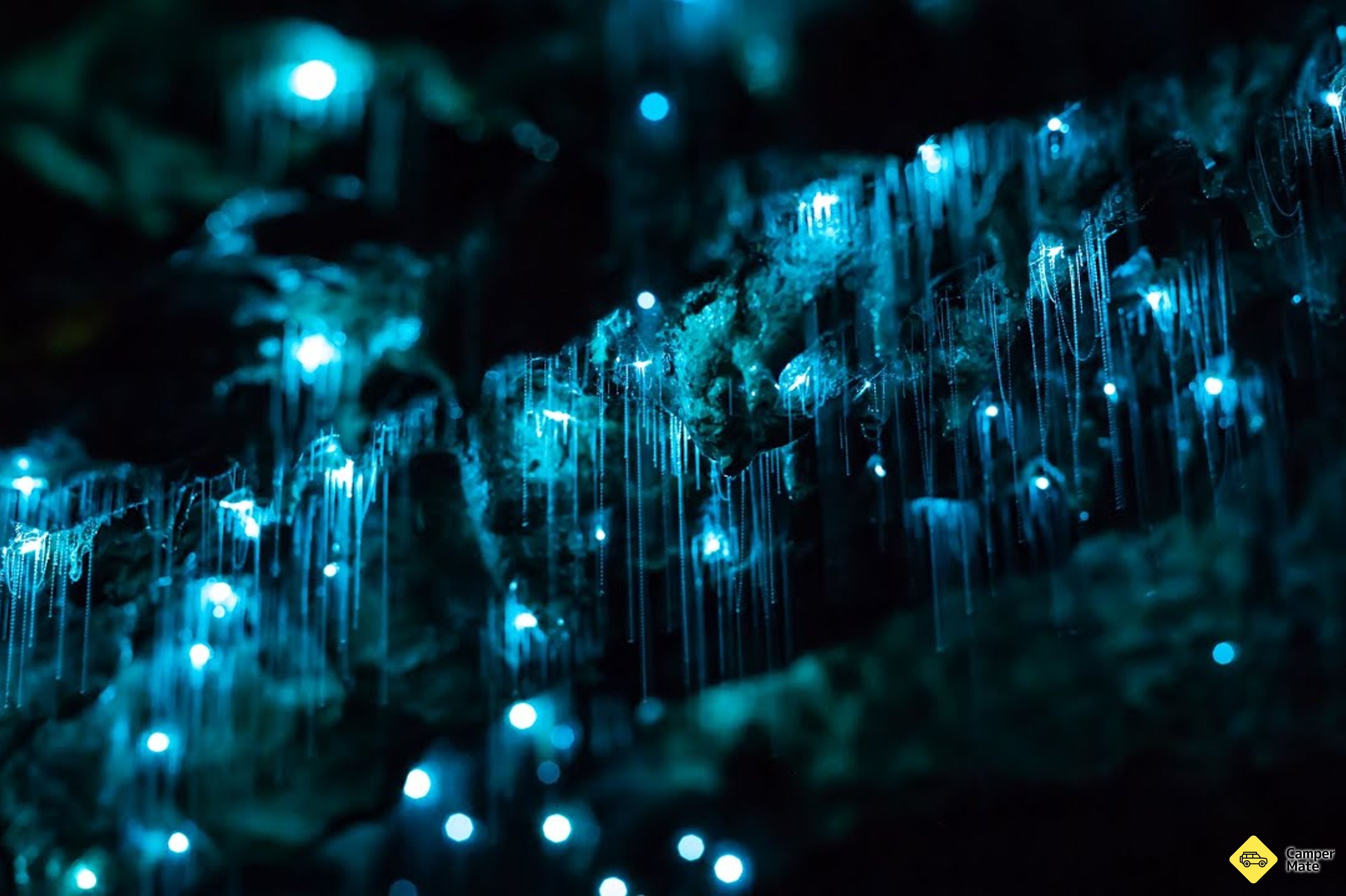 Glowworm and Waterfalls Tour