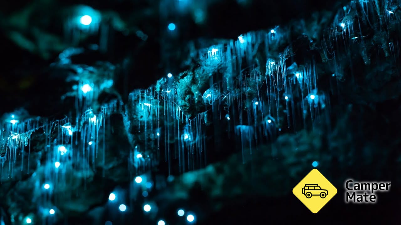 Glowworm et les chutes d'eau