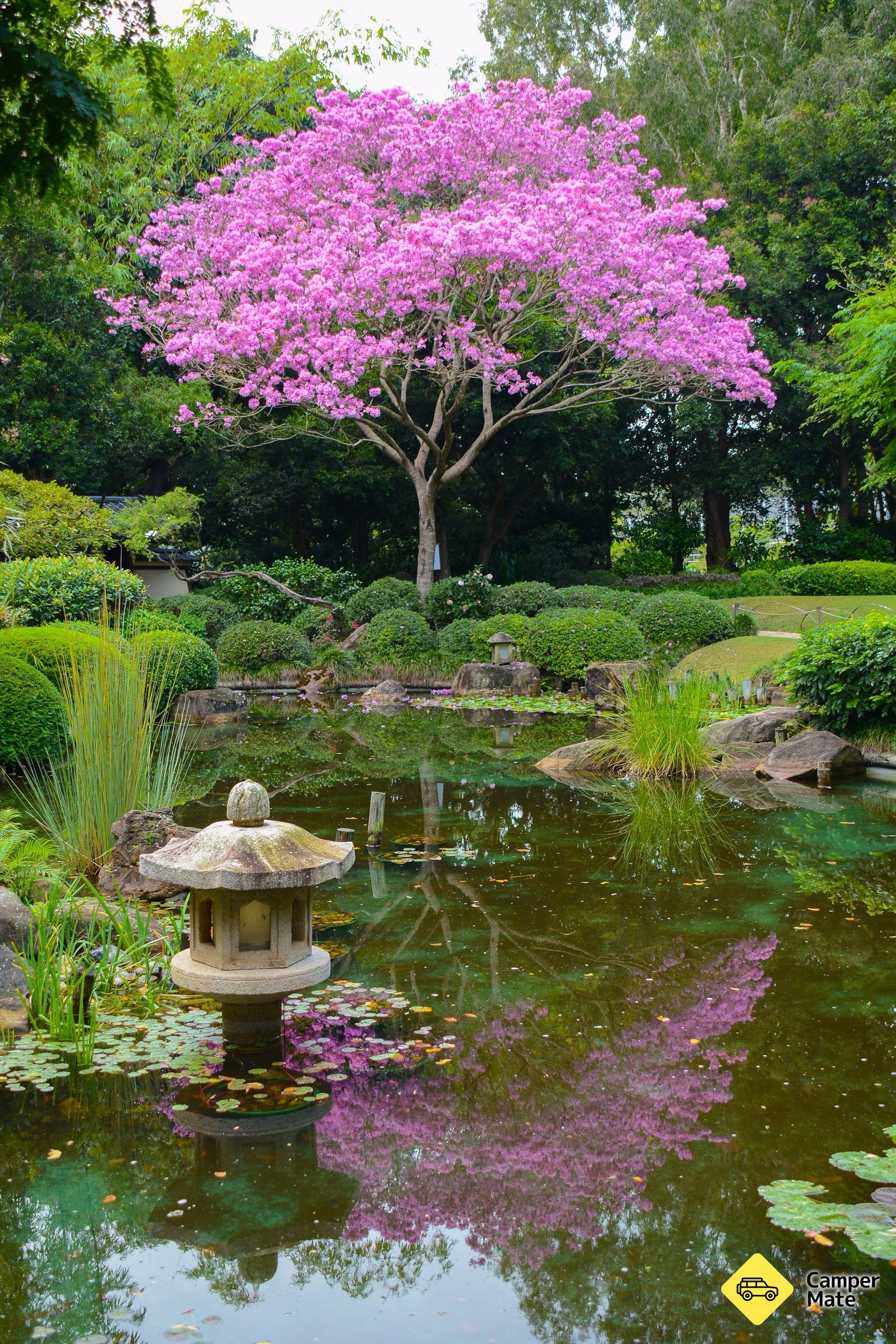 Brisbane Botanic Gardens Mount Coot-tha - Image 2