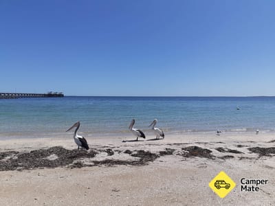 Smoky Bay Caravan Park