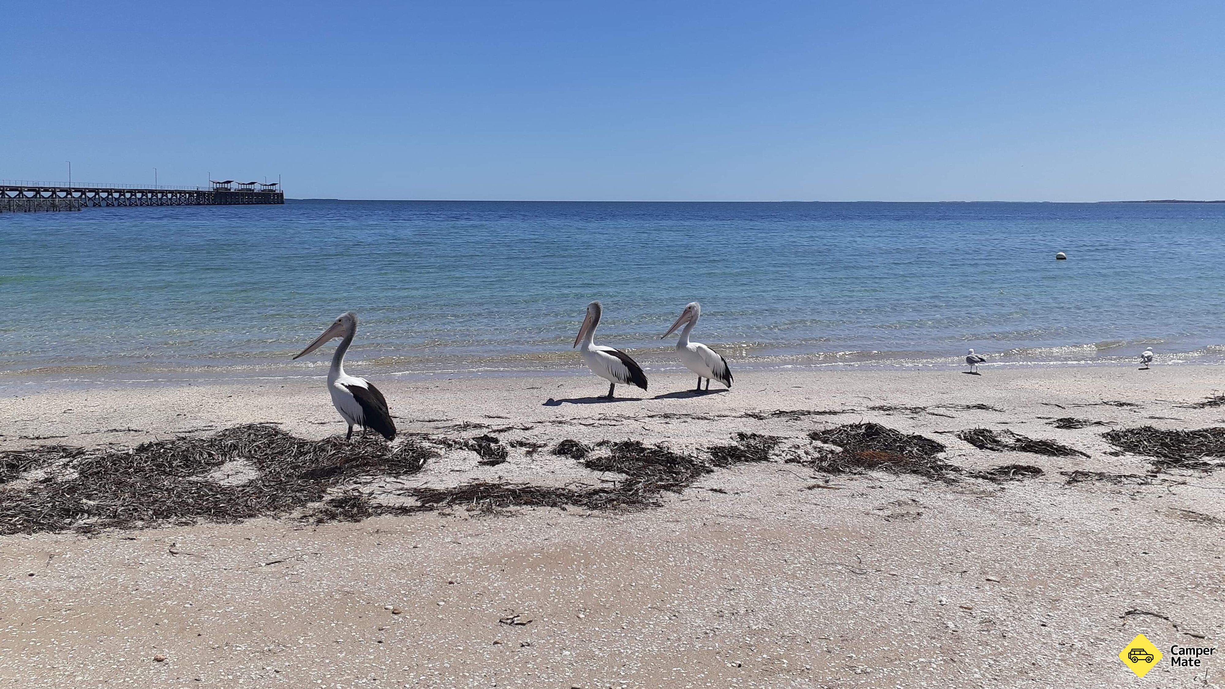 Smoky Bay Caravan Park